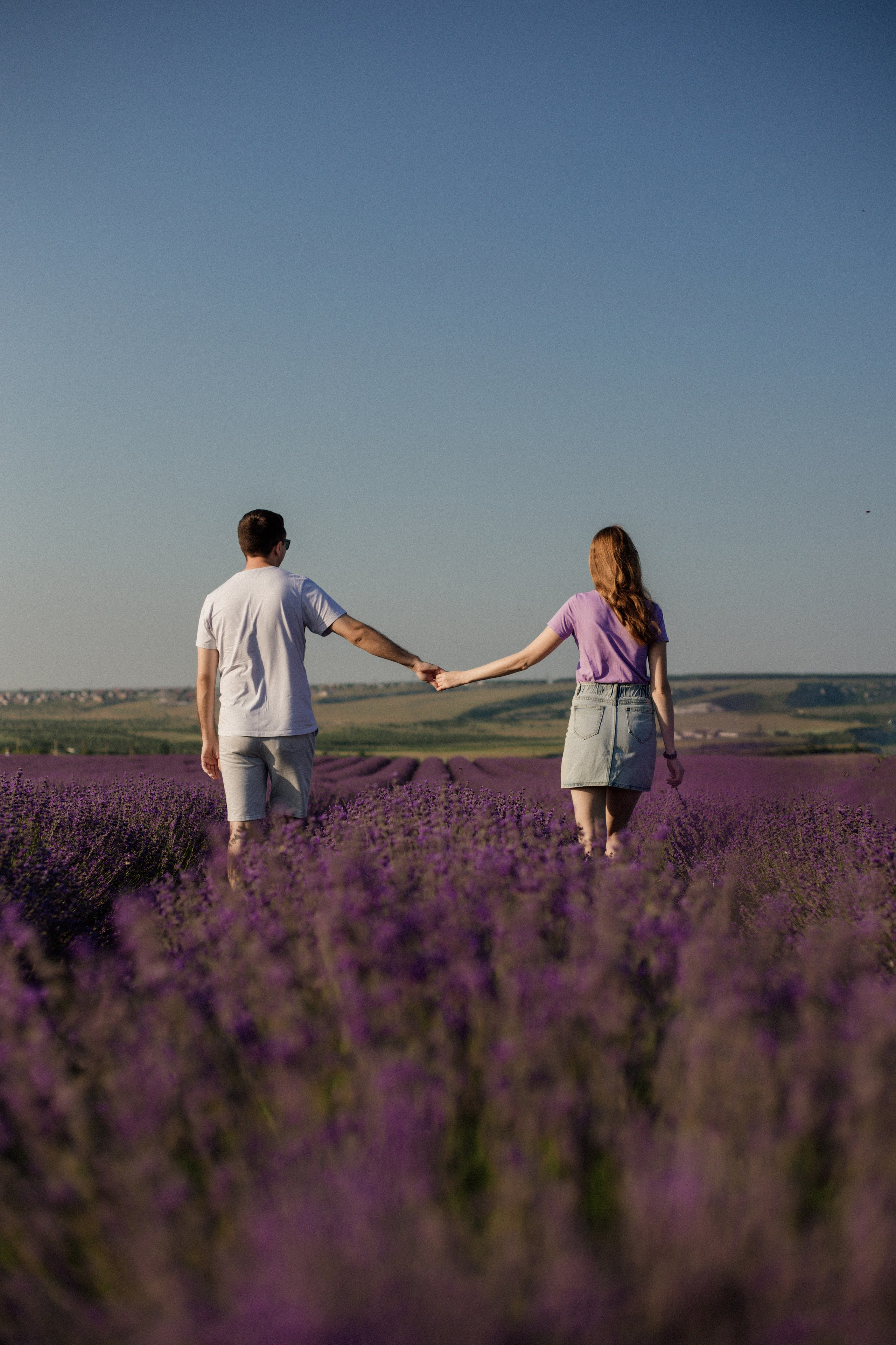 Лаванда. Фотограф и Видеограф Севастополь Крым