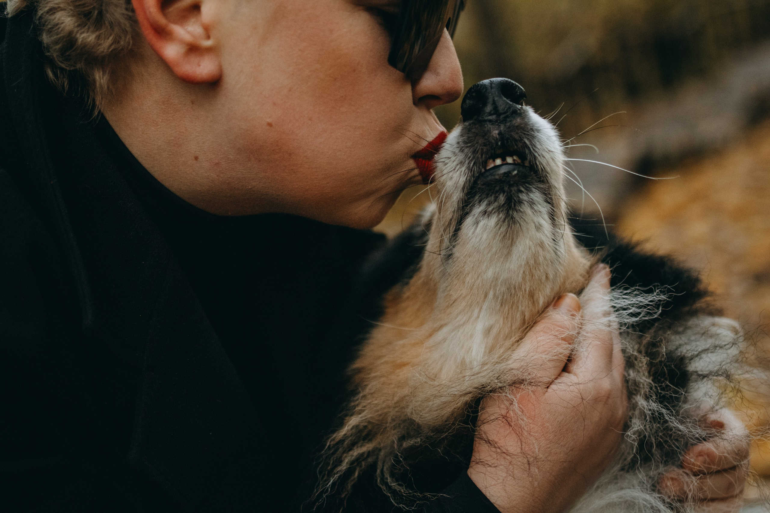 Ия и Барт. Фотограф — Анималист | Санкт-Петербург