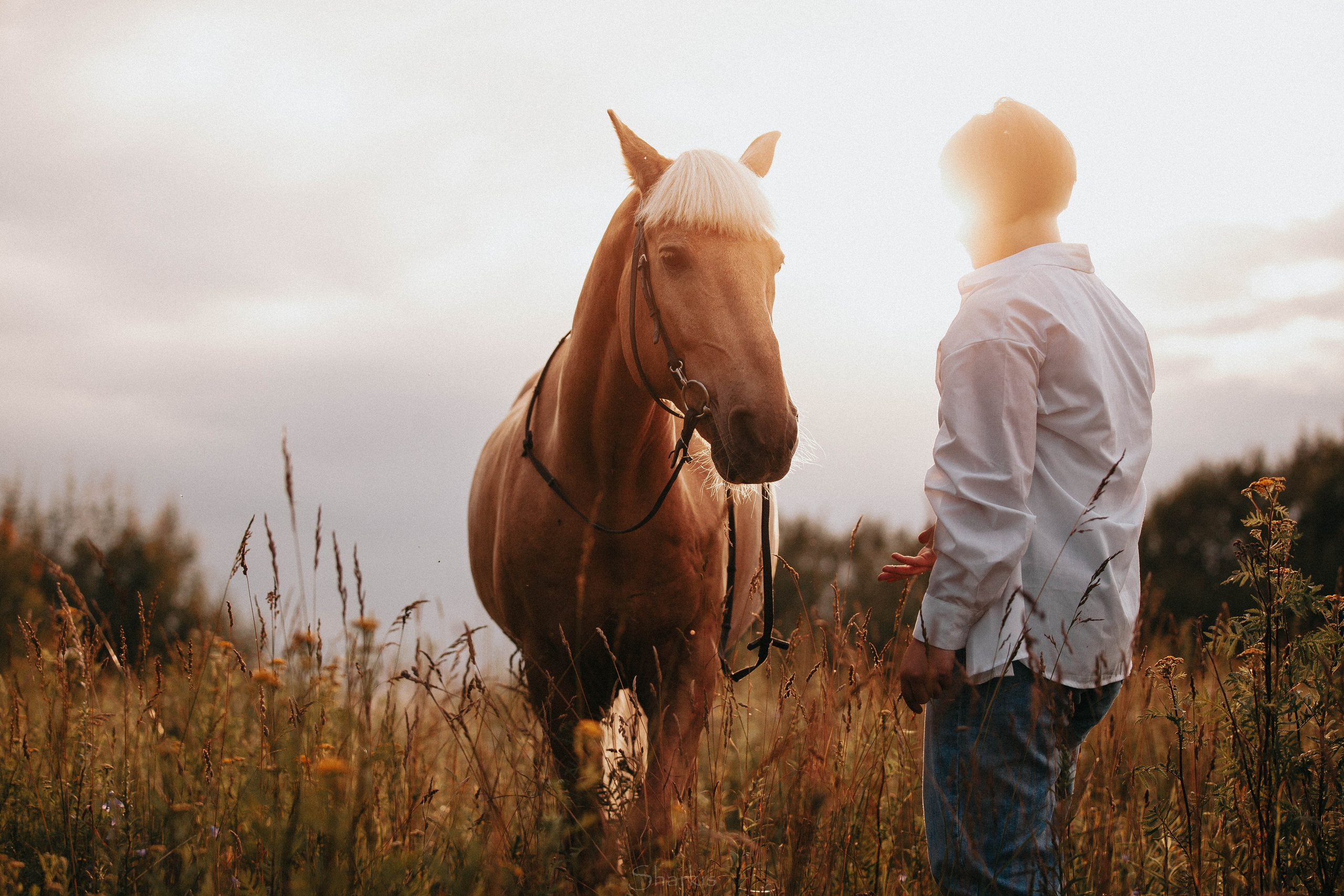 Алина и Гешефт. Главная