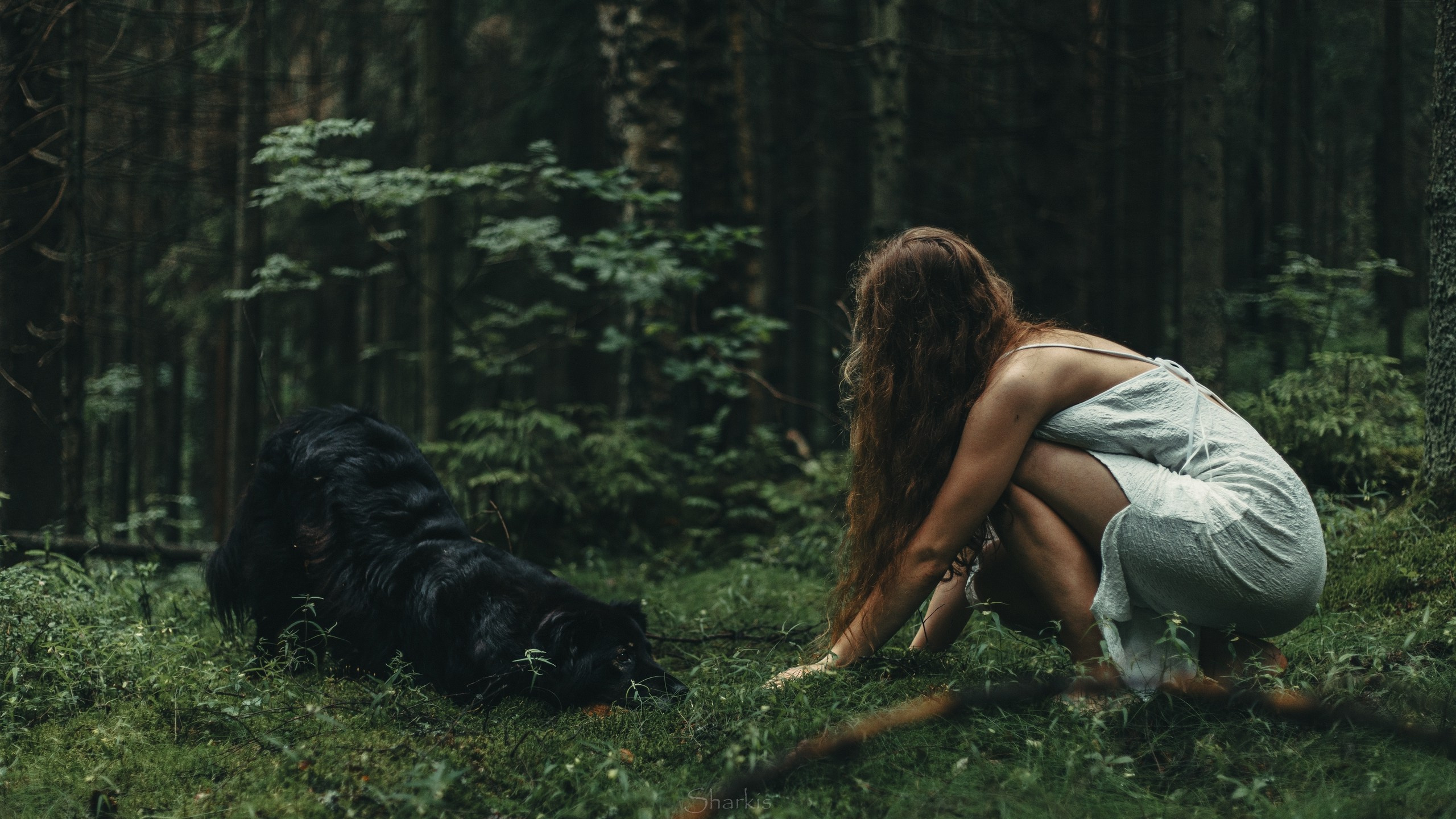 Лиза и Чарли. Главная