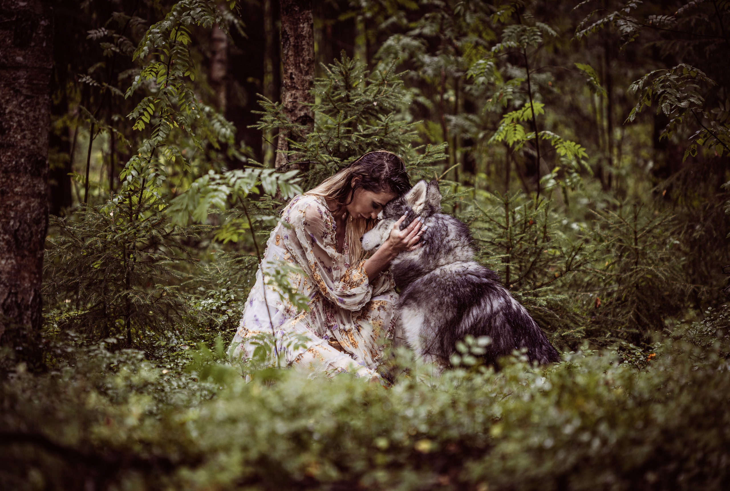 Фотосессии с животными. Добродеева Алла фотограф, Москва