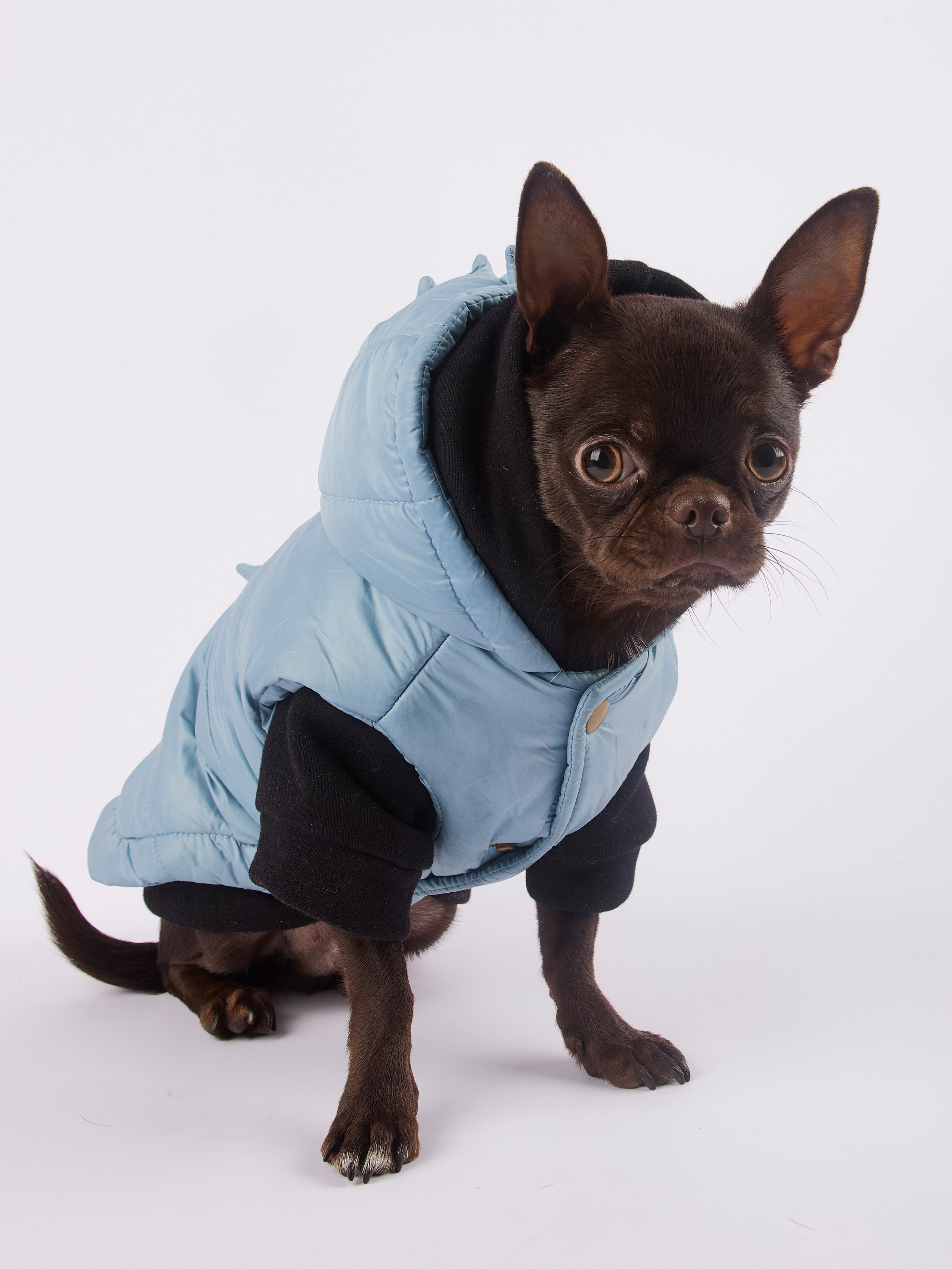 Чих Шпрот. Предметный и семейный фотограф в Санкт-Петербурге Катерина Стеклова