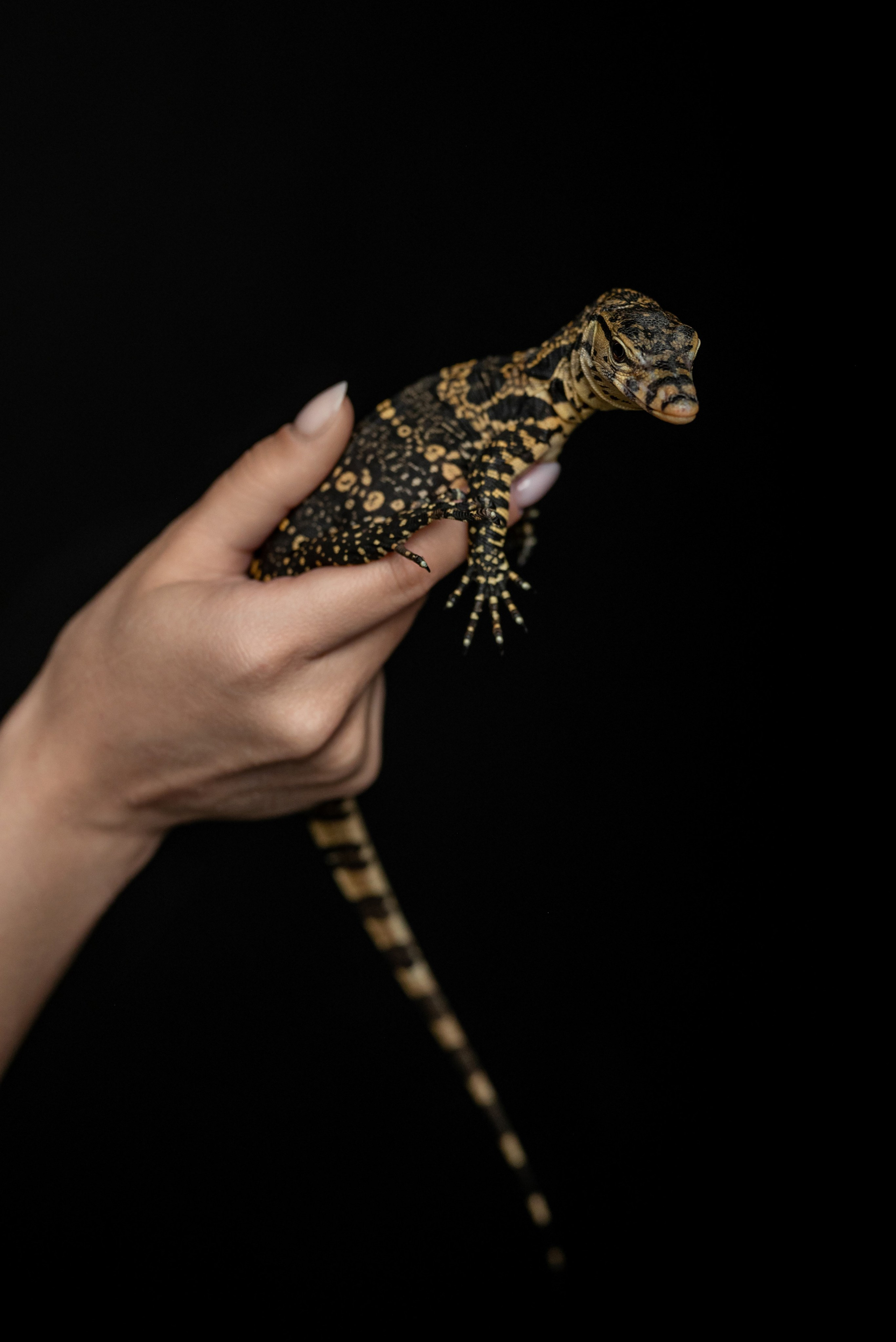 Кристина. Фотограф в городе Салават