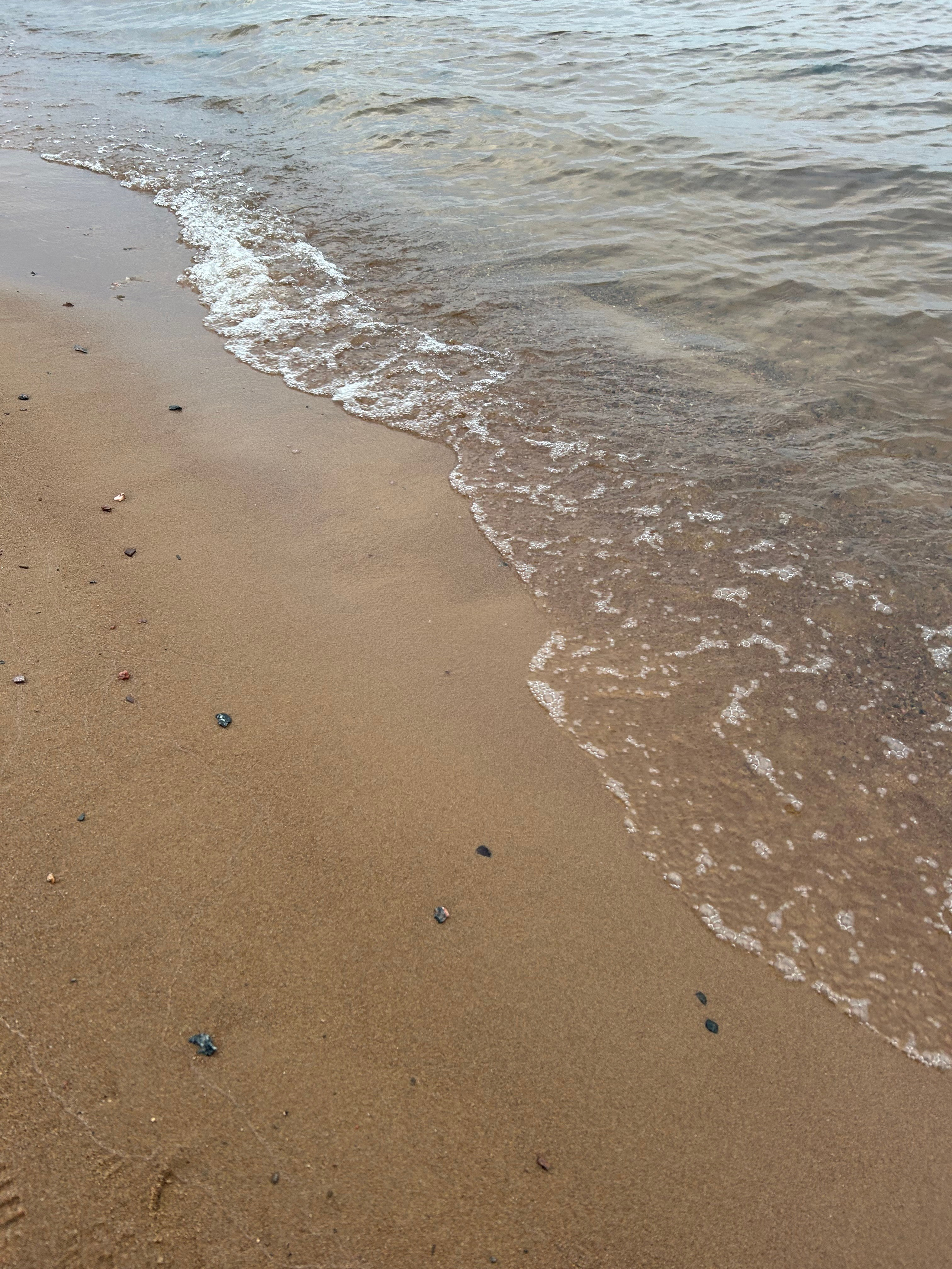 Природа. Фотокружок «Видоискатель» ГБОУ СОШ № 291