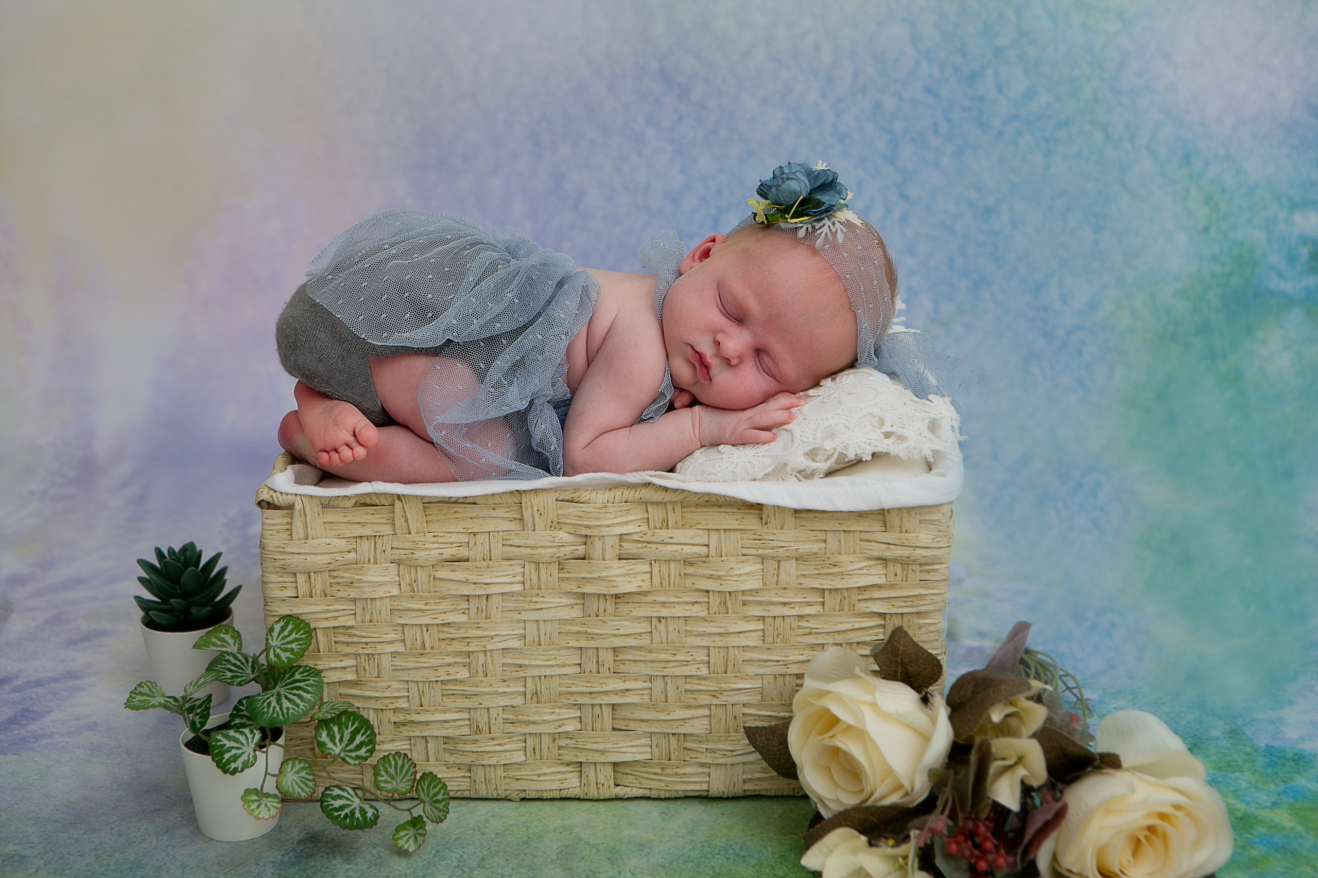 Новорожденные. Семейный, детский, newborn фотограф Москва,Московская обл Алла Риэр