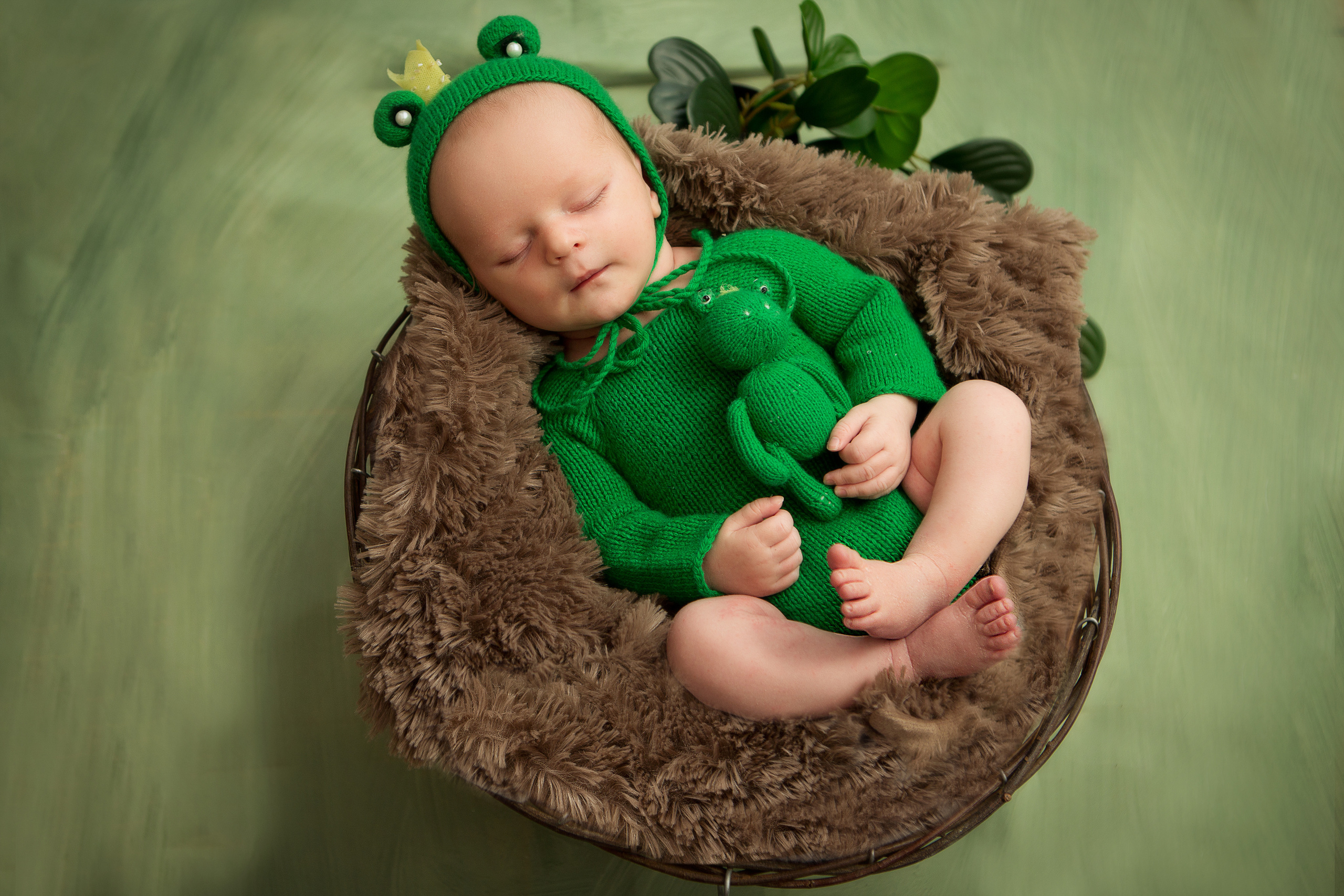 Новорожденные. Семейный, детский, newborn фотограф Москва,Московская обл Алла Риэр