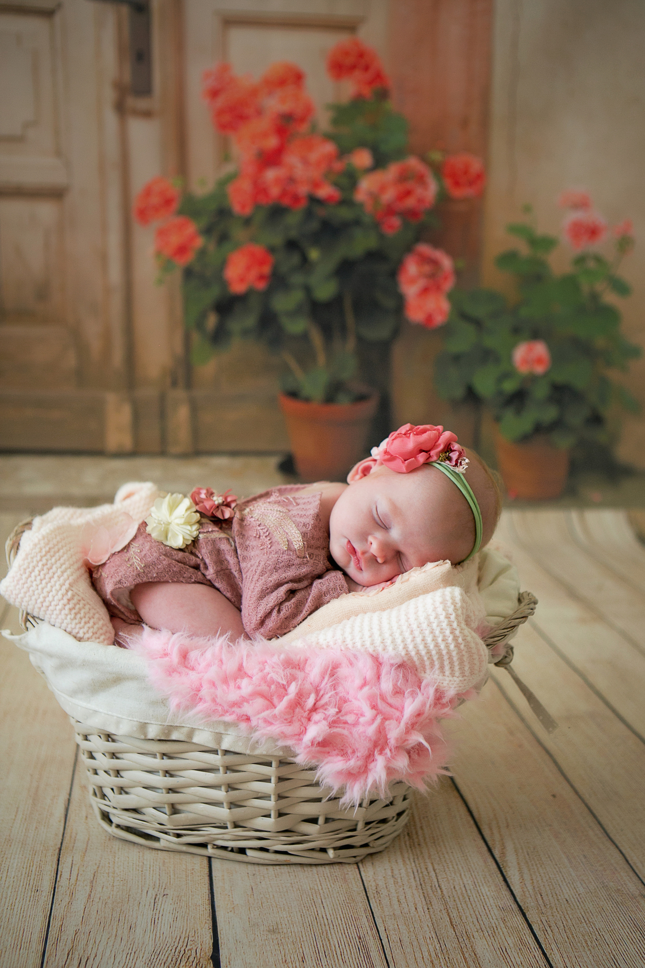 Новорожденные. Семейный, детский, newborn фотограф Москва,Московская обл Алла Риэр