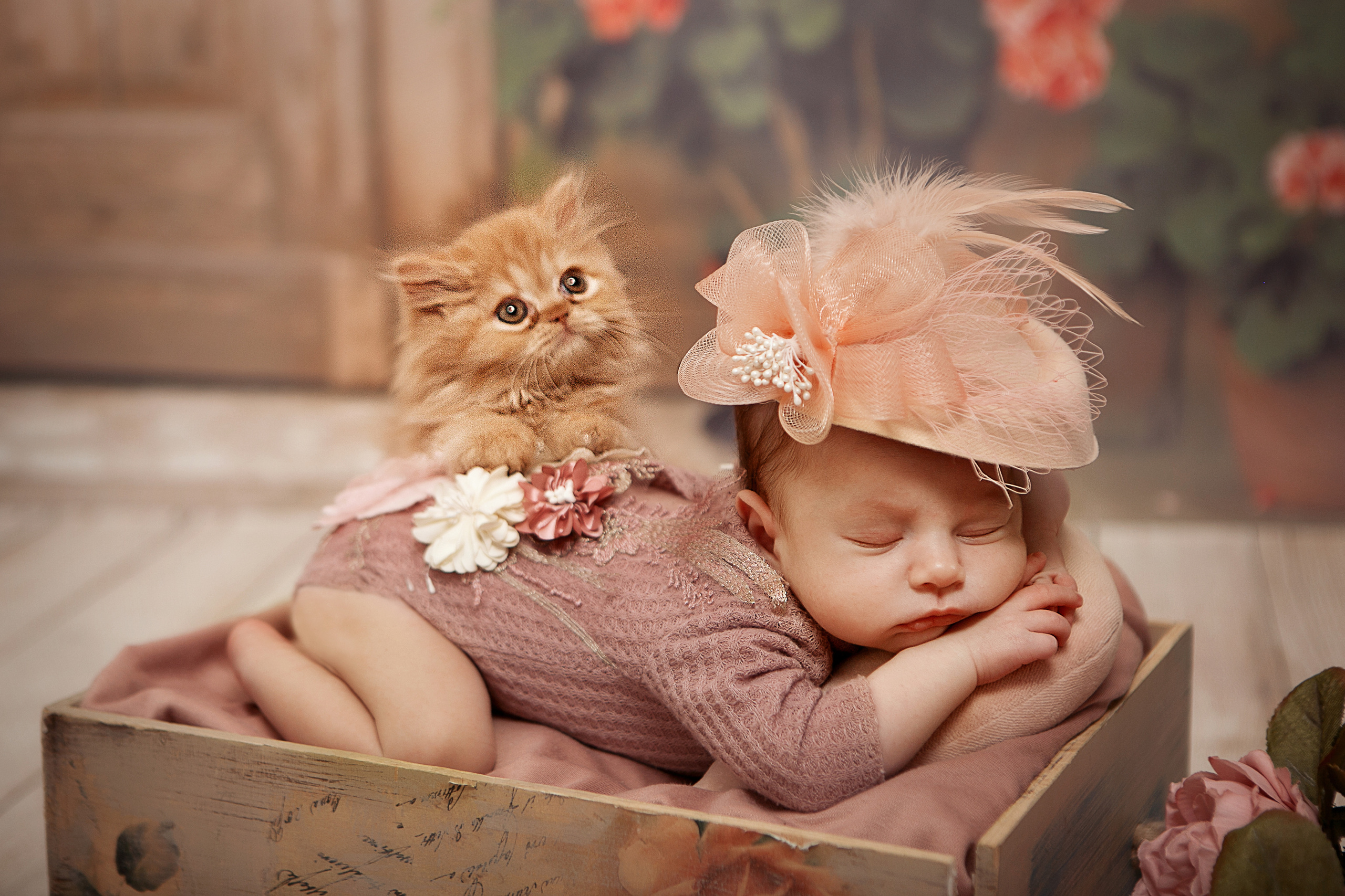 Новорожденные. Семейный, детский, newborn фотограф Москва,Московская обл Алла Риэр