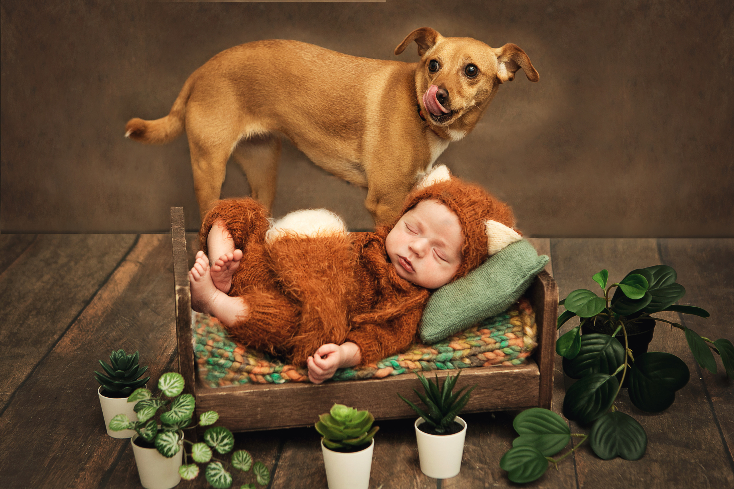 Новорожденные. Семейный, детский, newborn фотограф Москва,Московская обл Алла Риэр