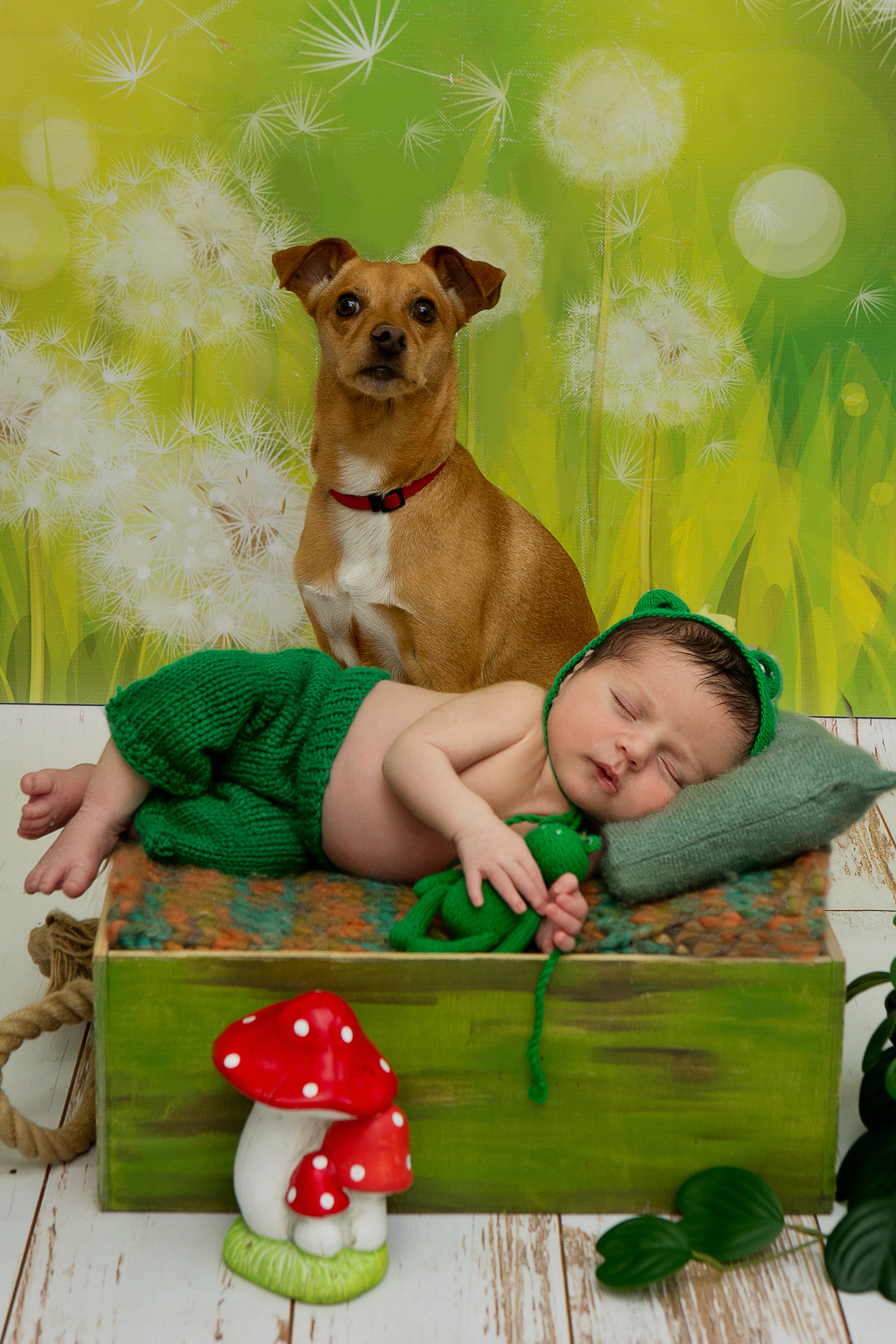 Новорожденные. Семейный, детский, newborn фотограф Москва,Московская обл Алла Риэр