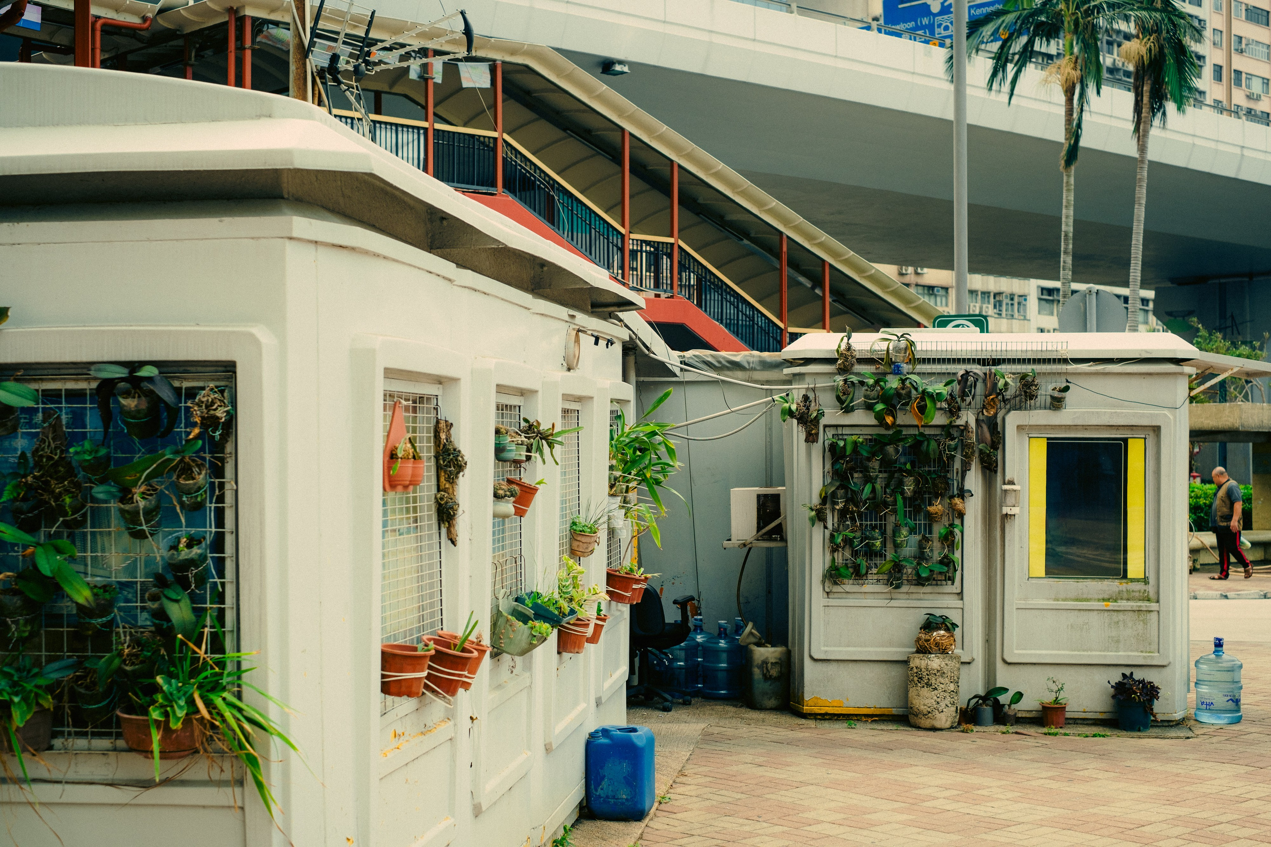 HongKong. Богдан Голубков — фотограф (notbogdang)