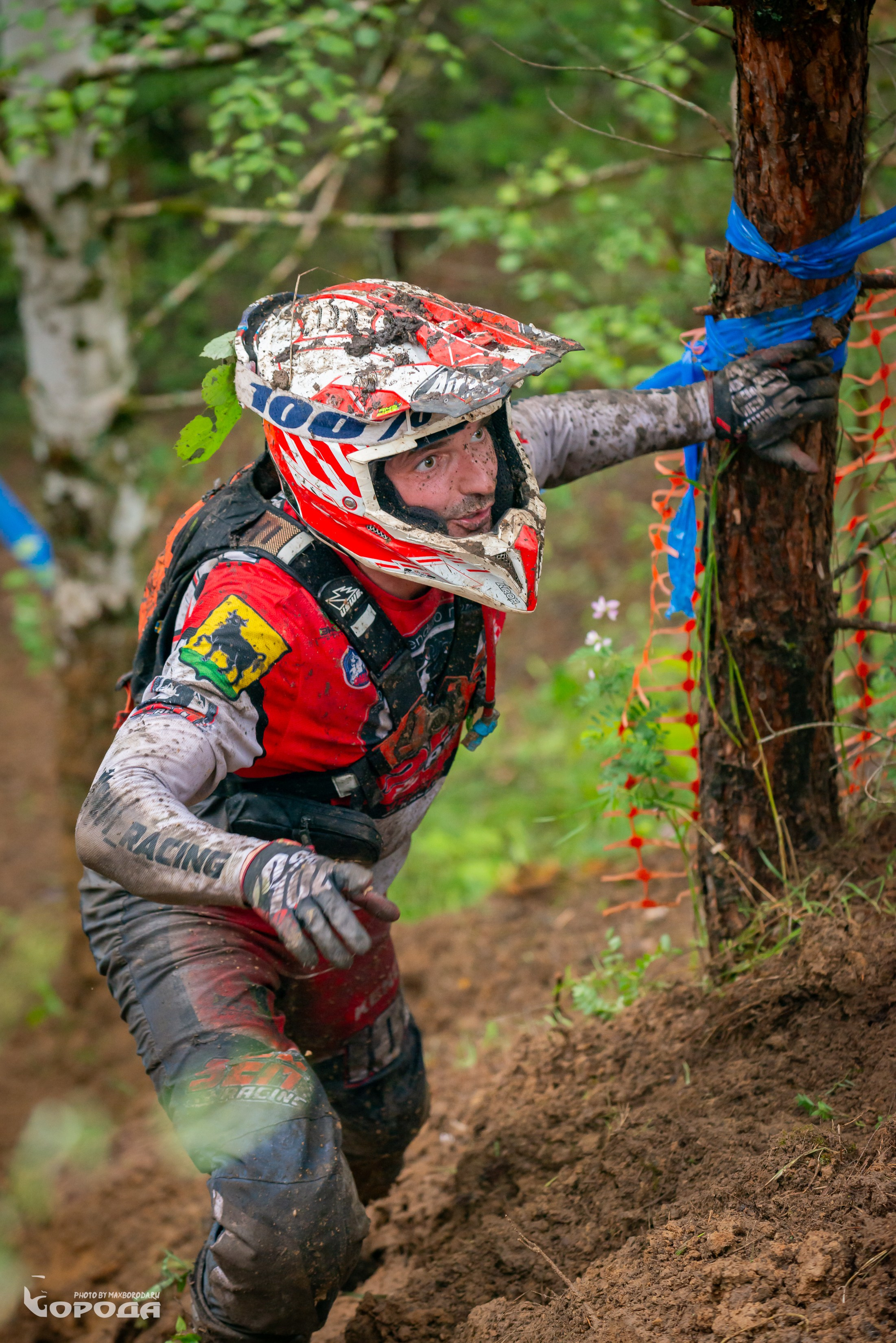 Дубрава 2025. Фотограф | Макс Борода