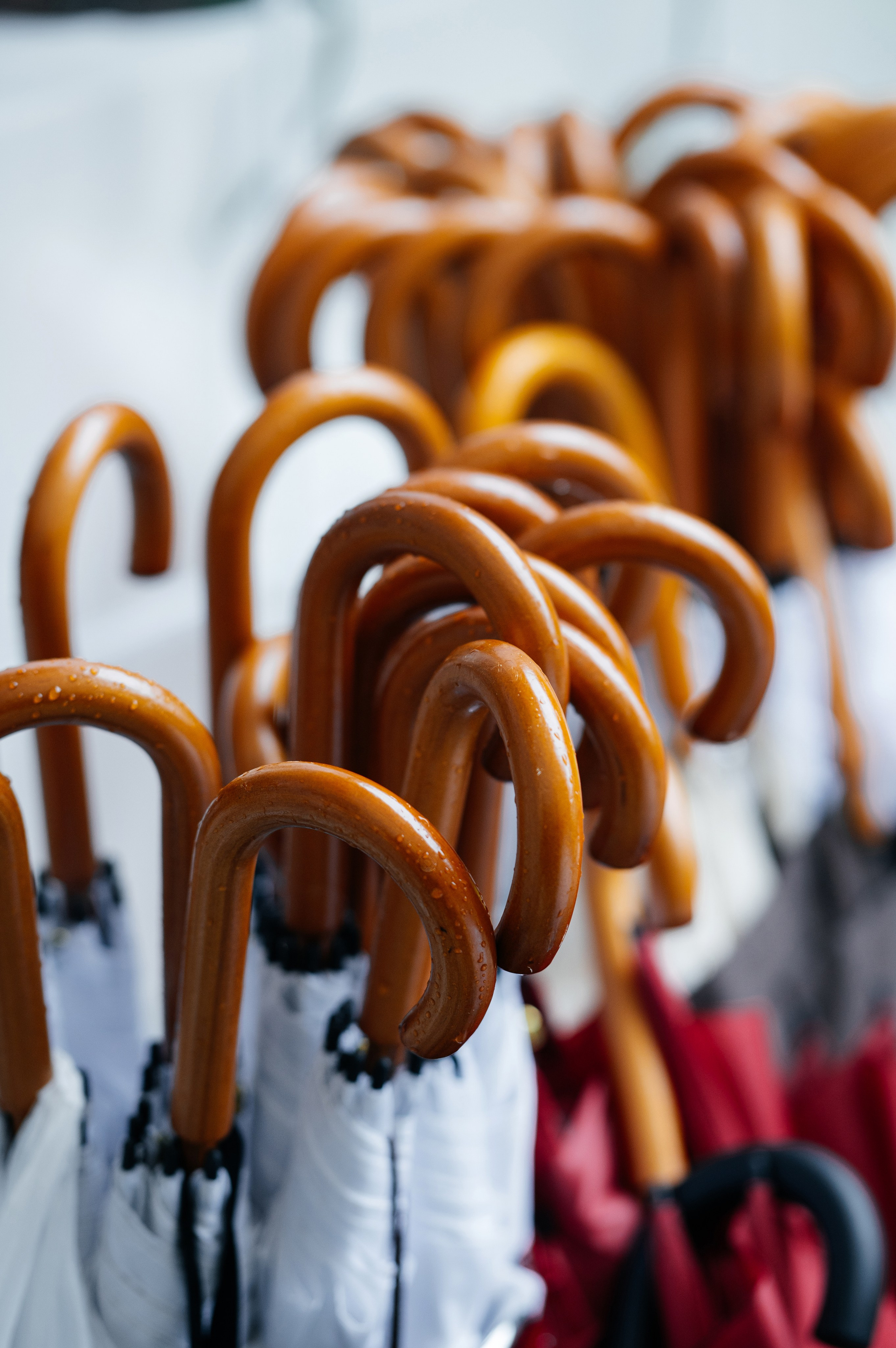 Свадьба Артем и Мария. Свадебный фотограф в Москве и по всему Миру Андрей Медведников