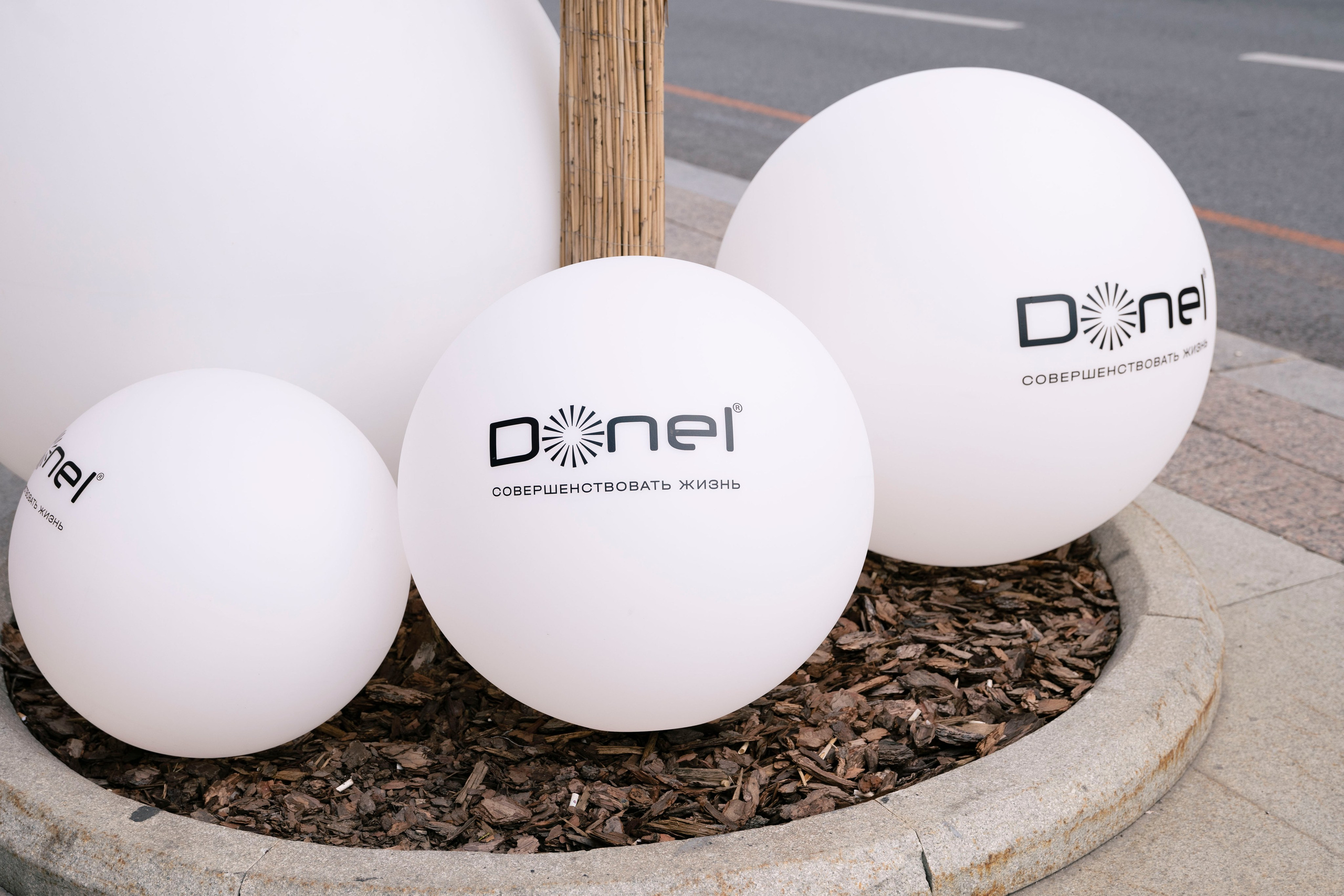 Trendy Colors event. Фотограф в Москве и Московской области