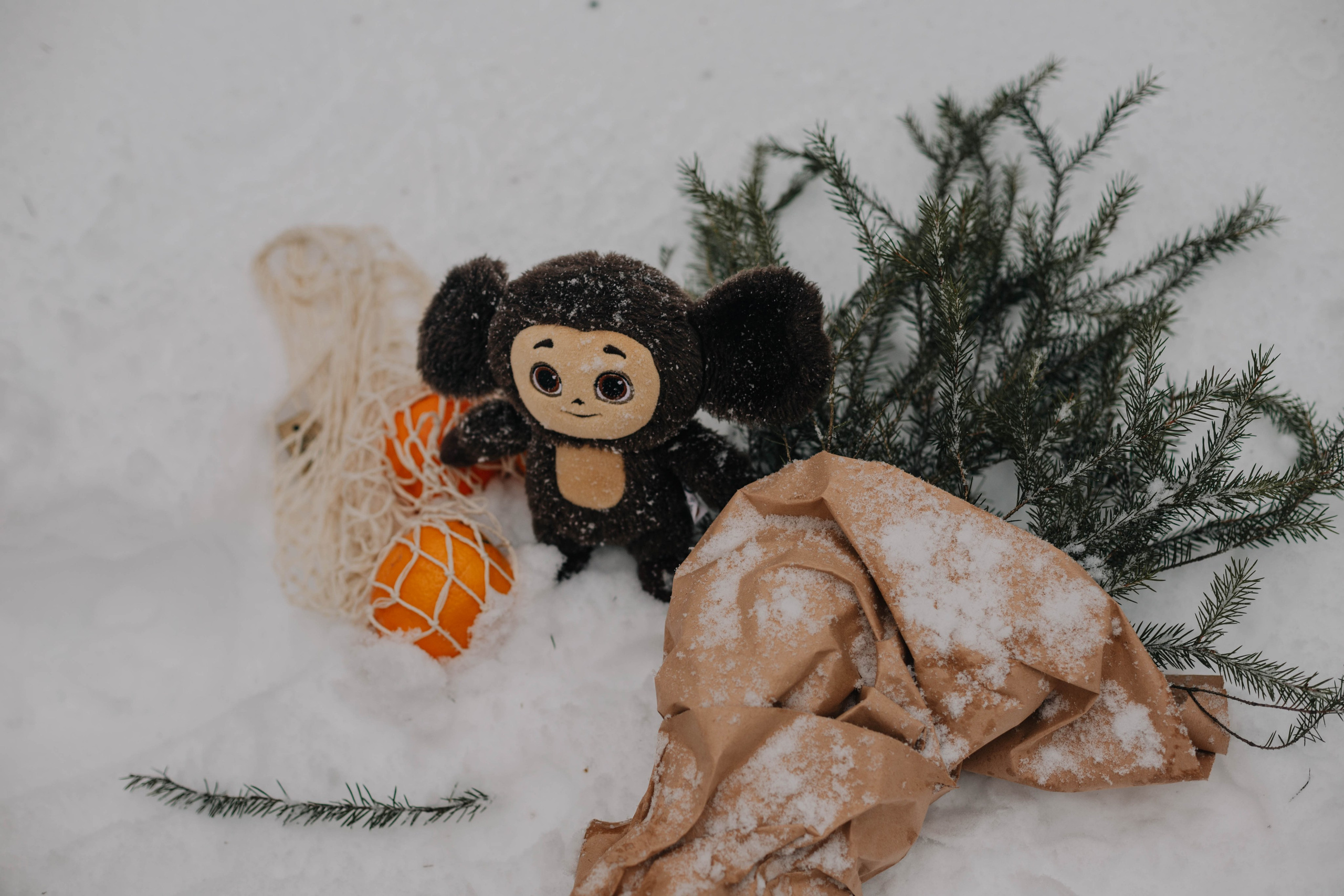 Лиля и семья Зимняя прогулка в лесу. Семейный и свадебный фотограф Видное Москва Екатерина Пятова