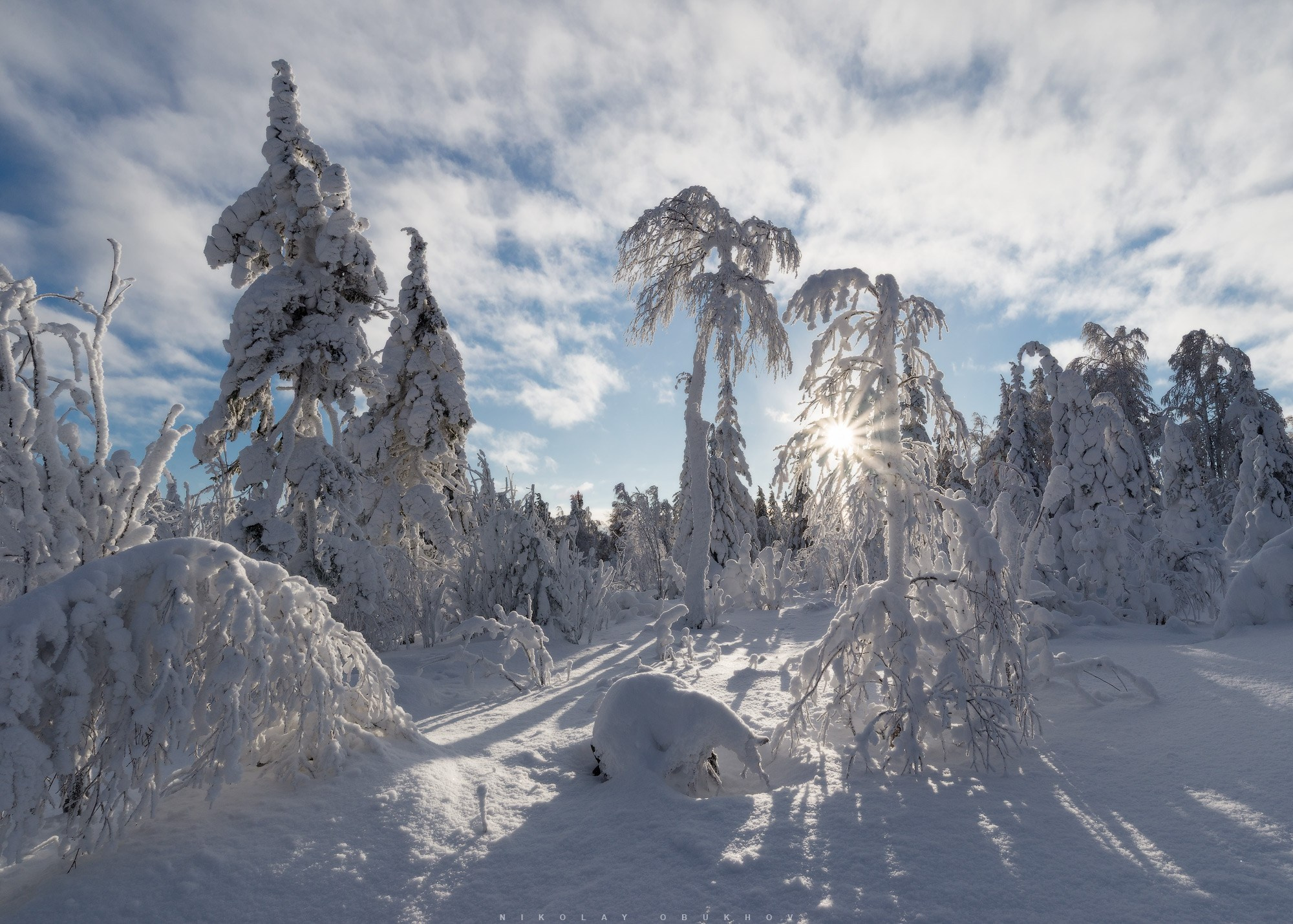 Солнце и зимний лес на горе Белая вблизи поселка Уралец.