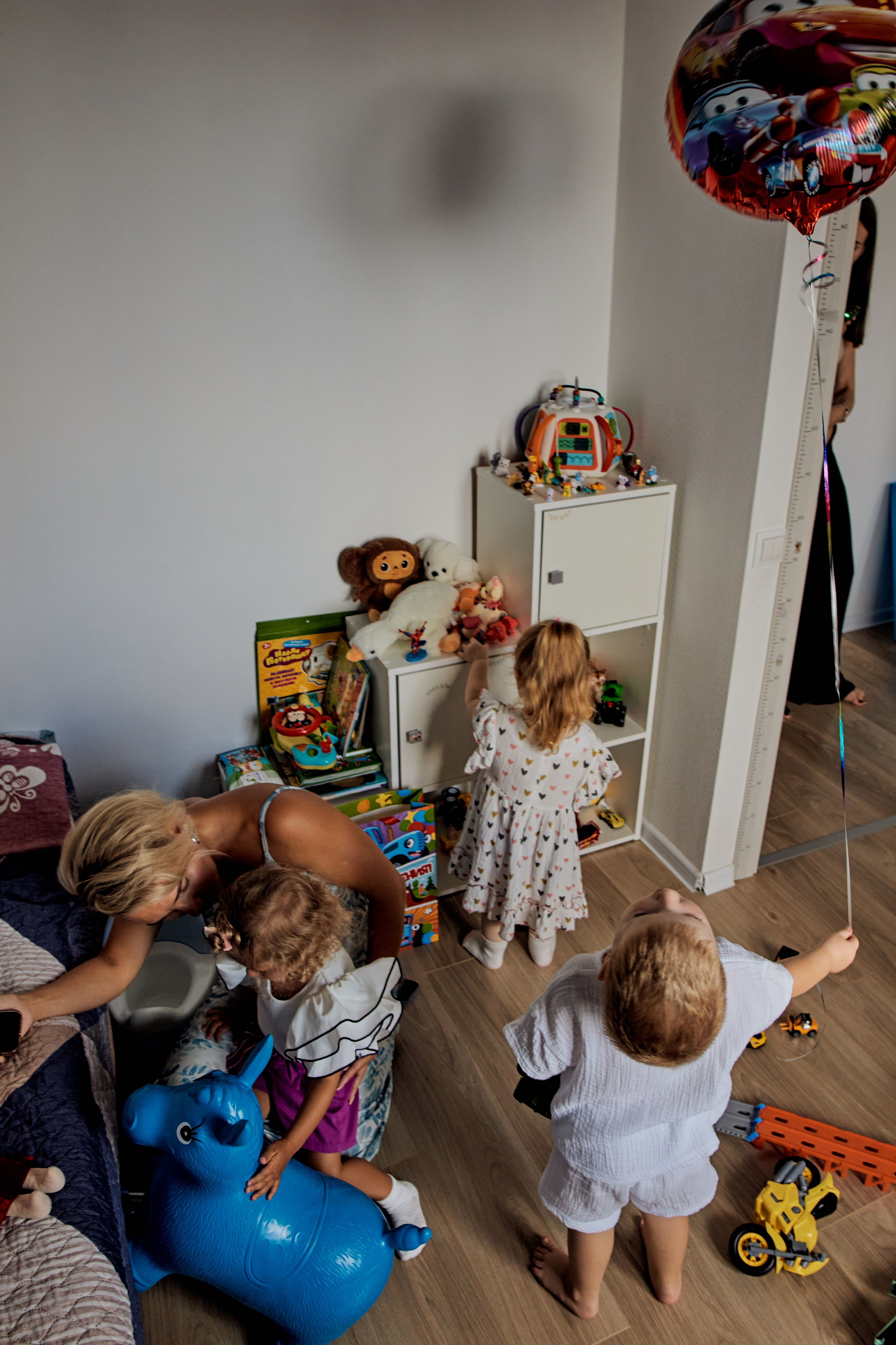 Три кота. Фотограф Москва