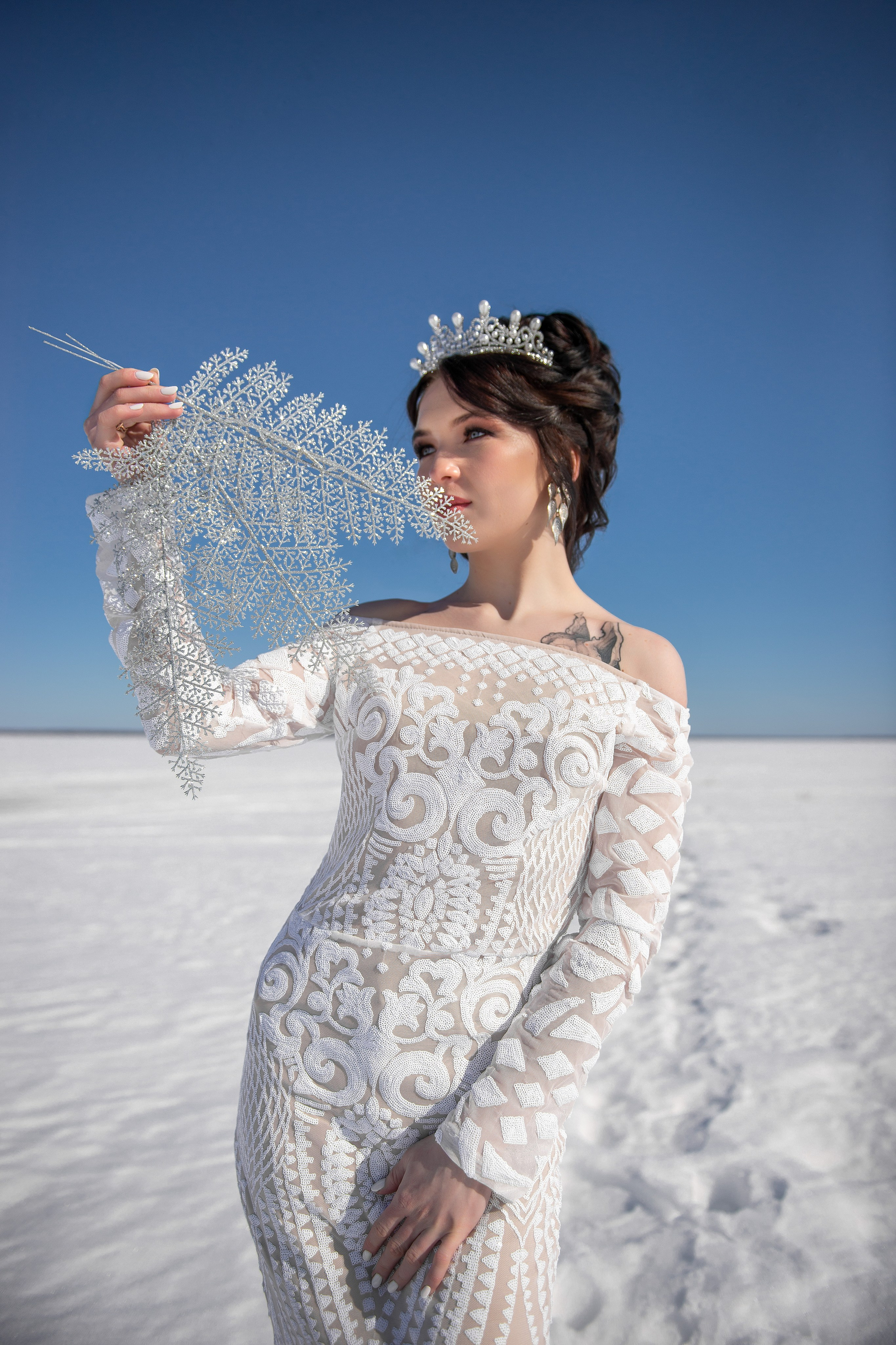 Снежная королева. Творческий фотограф Вологда