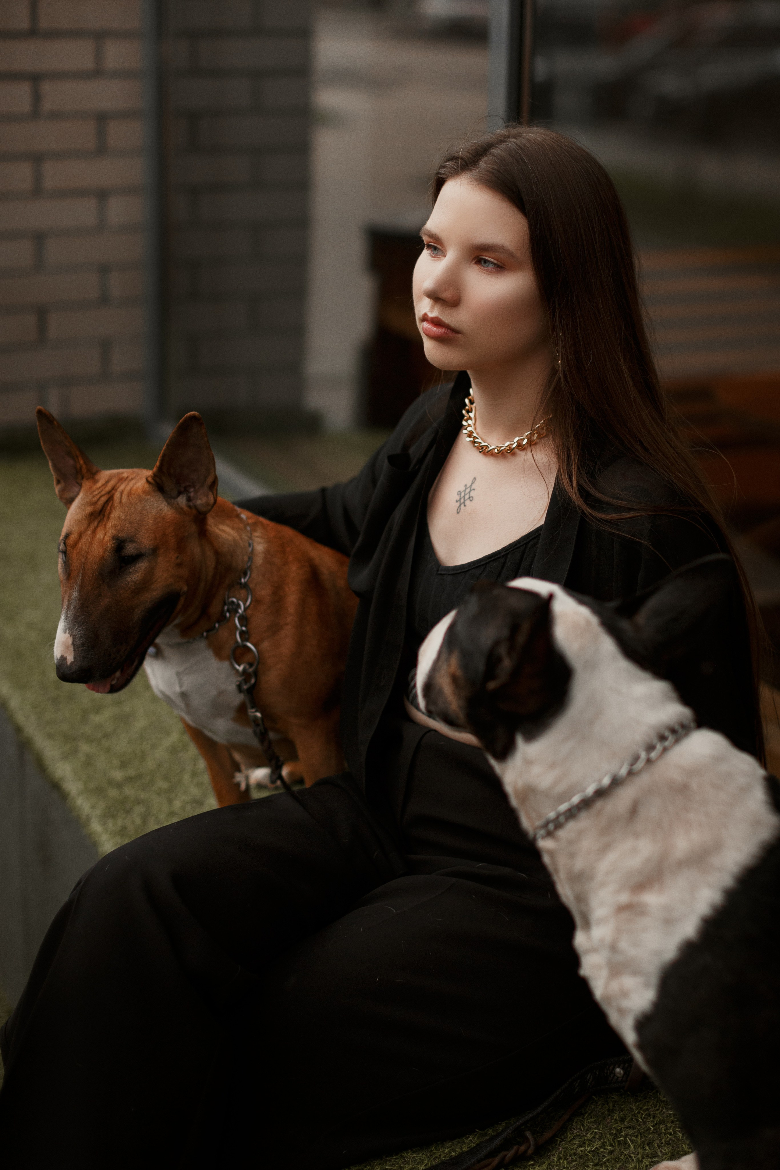 Фотосессии с вашими любимцами. Фотограф Артемьева Катерина|фотосессии с лошадьми
