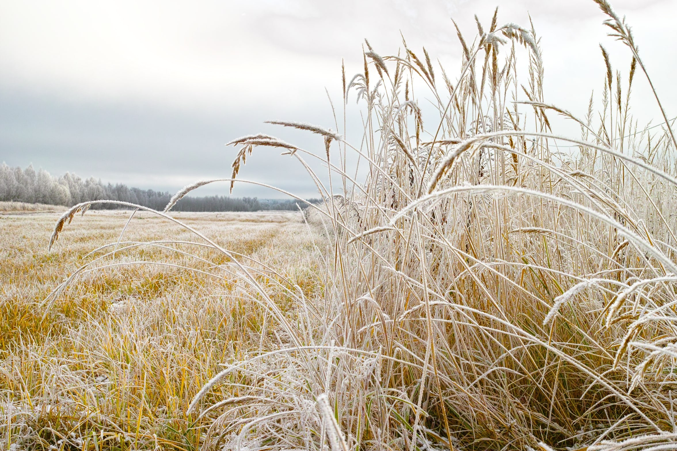 Ветра и дожди. Artkapella|Олег Кузнецов