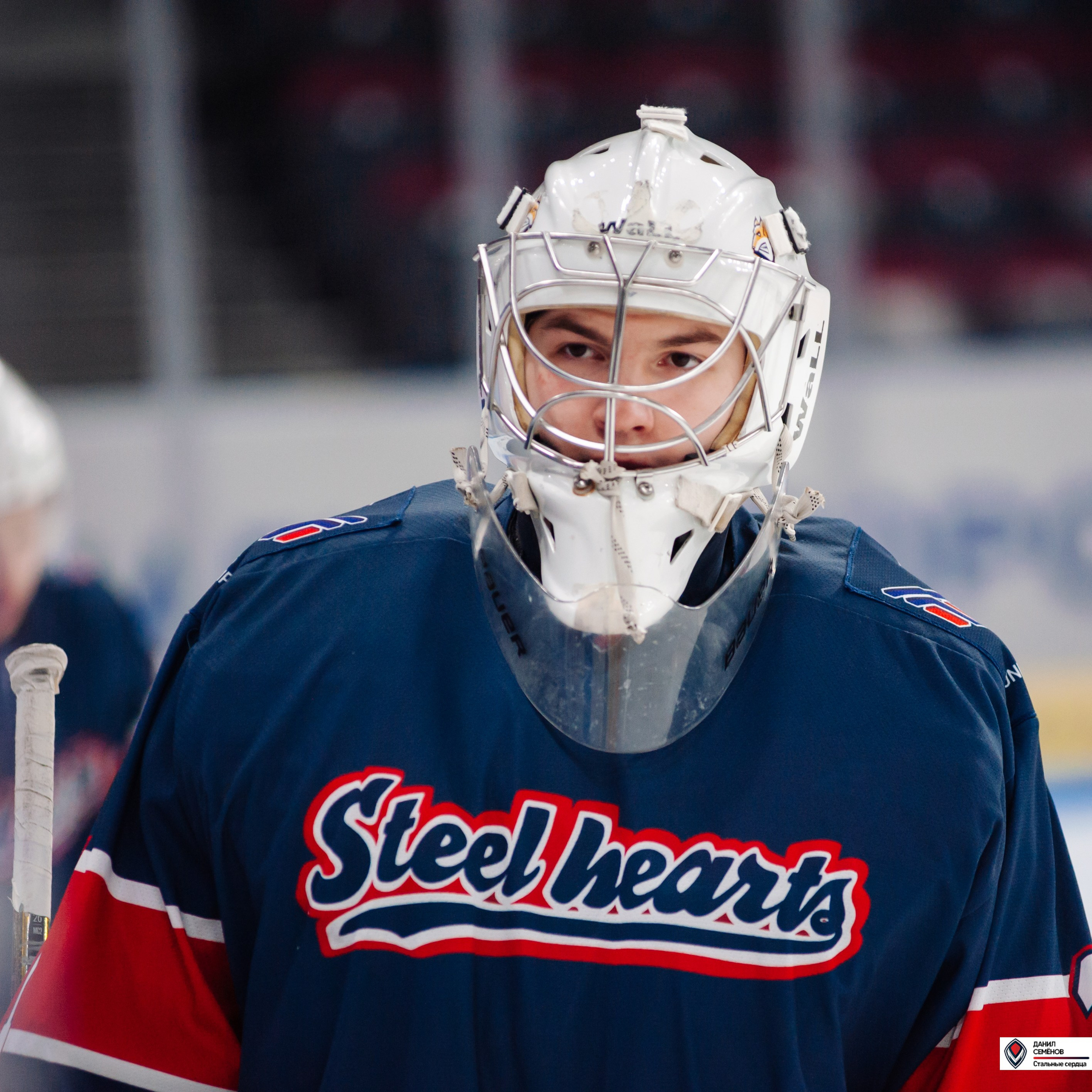 Чемпионат СХЛ. Стальные сердца — СФУ. Фотограф Магнитогорск Данил Семенов