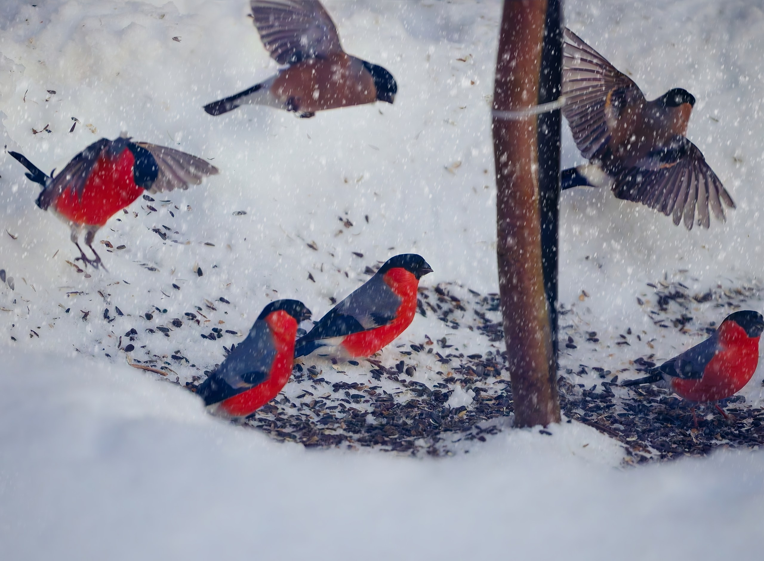 ПРИРОДА. Слепки времени. Фотографии природы и событий. Москва. Сергей Аллагулов