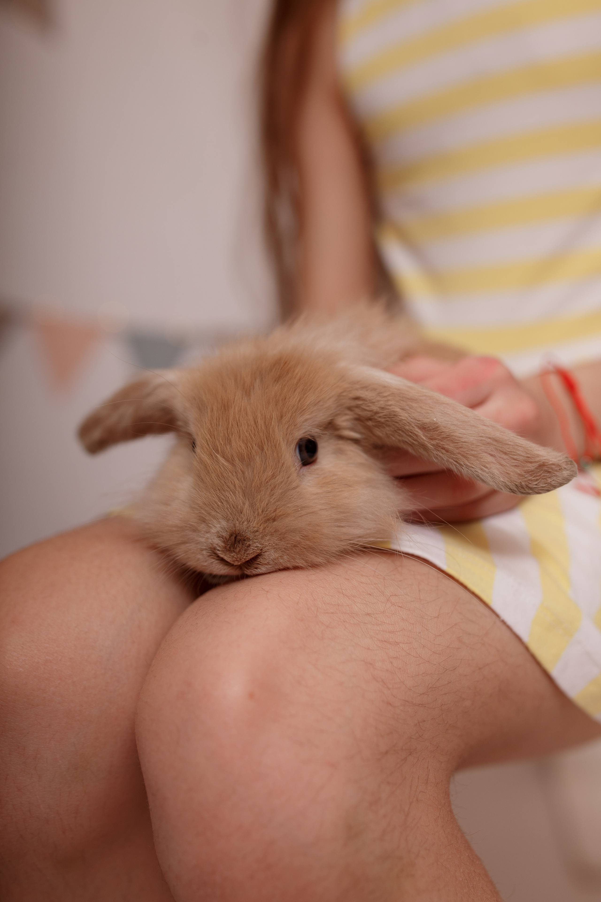 Пасхальные зарисовки. Семейный и детский фотограф в Ярославле