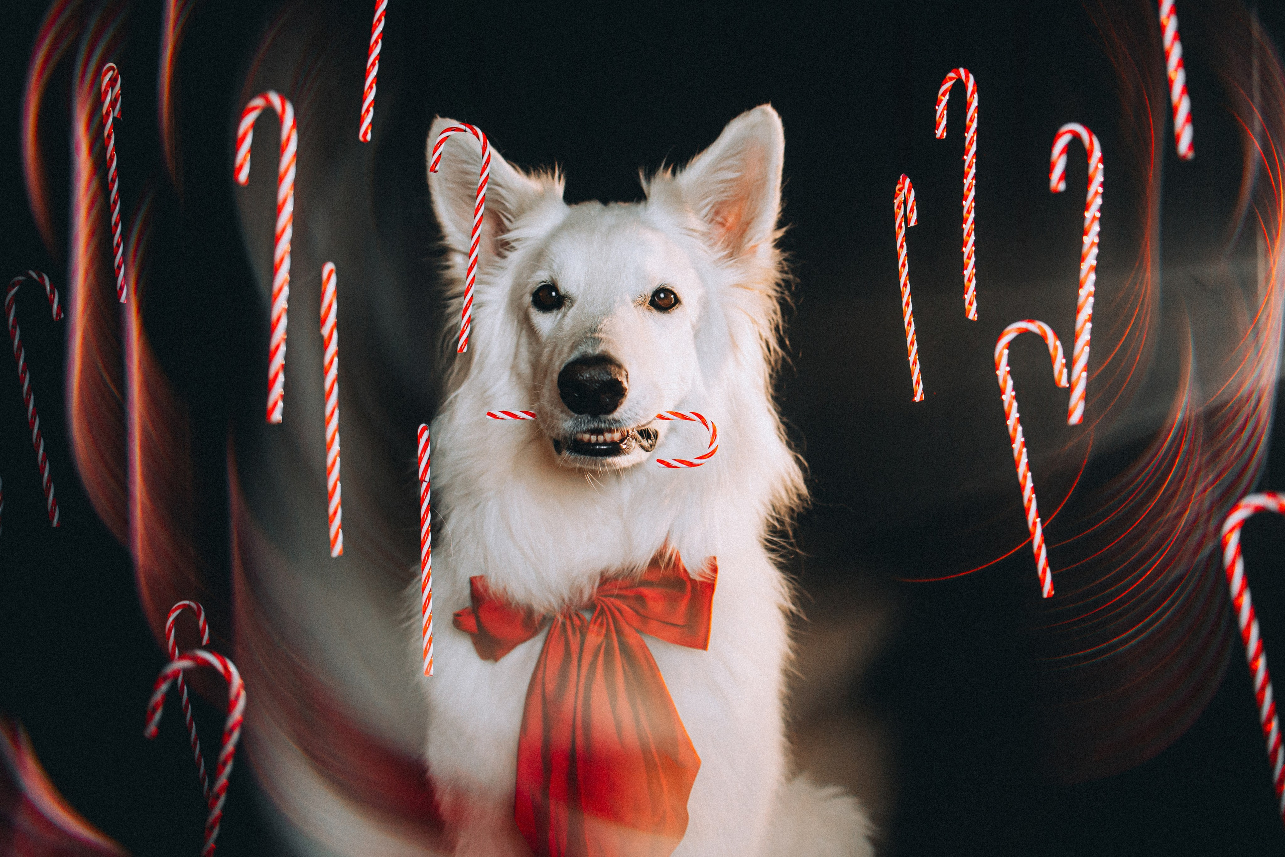 Джек, Бет и Кову