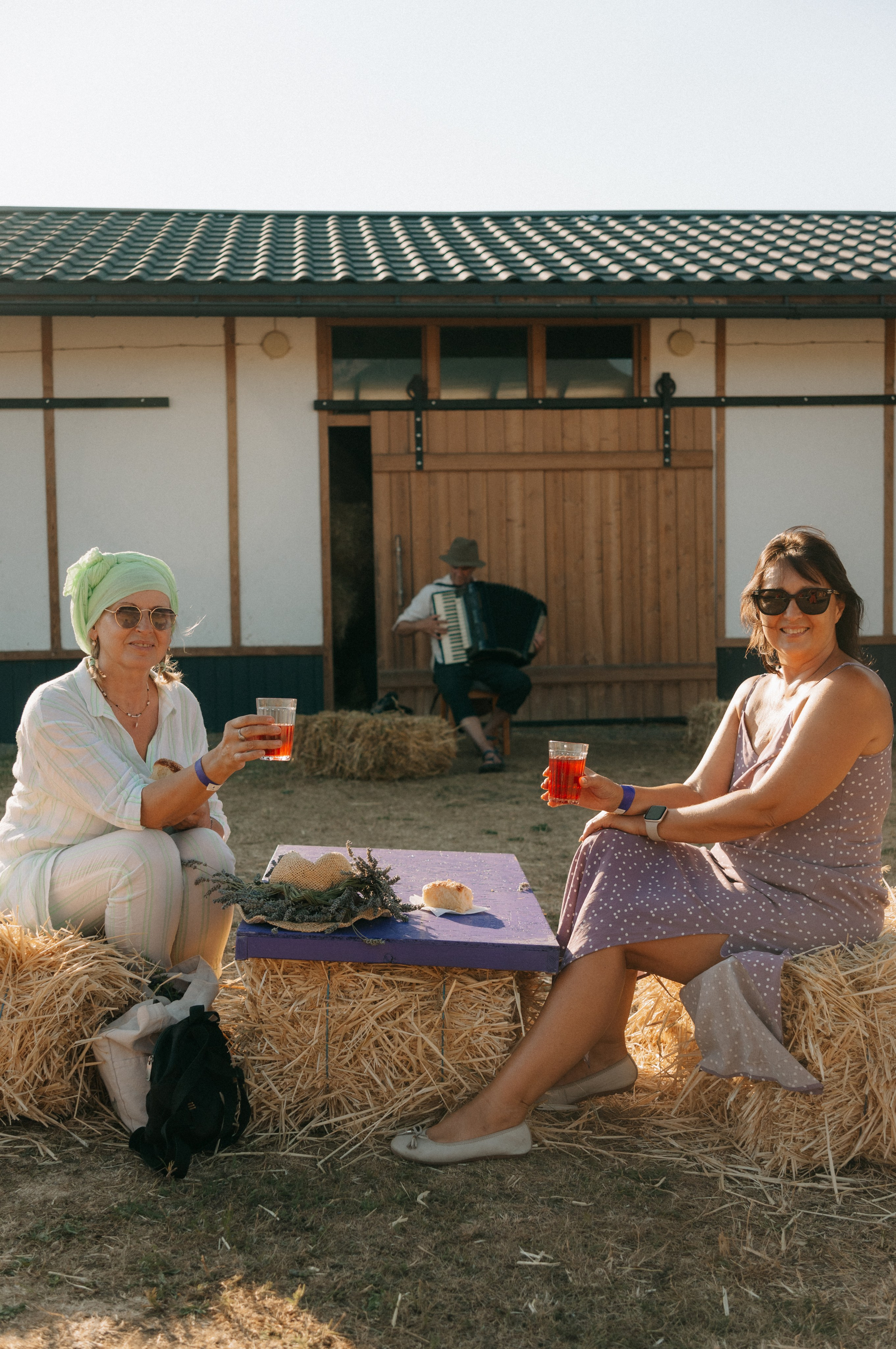 Сбор урожая | лавандовая ферма Viva Lavanda. Обо мне