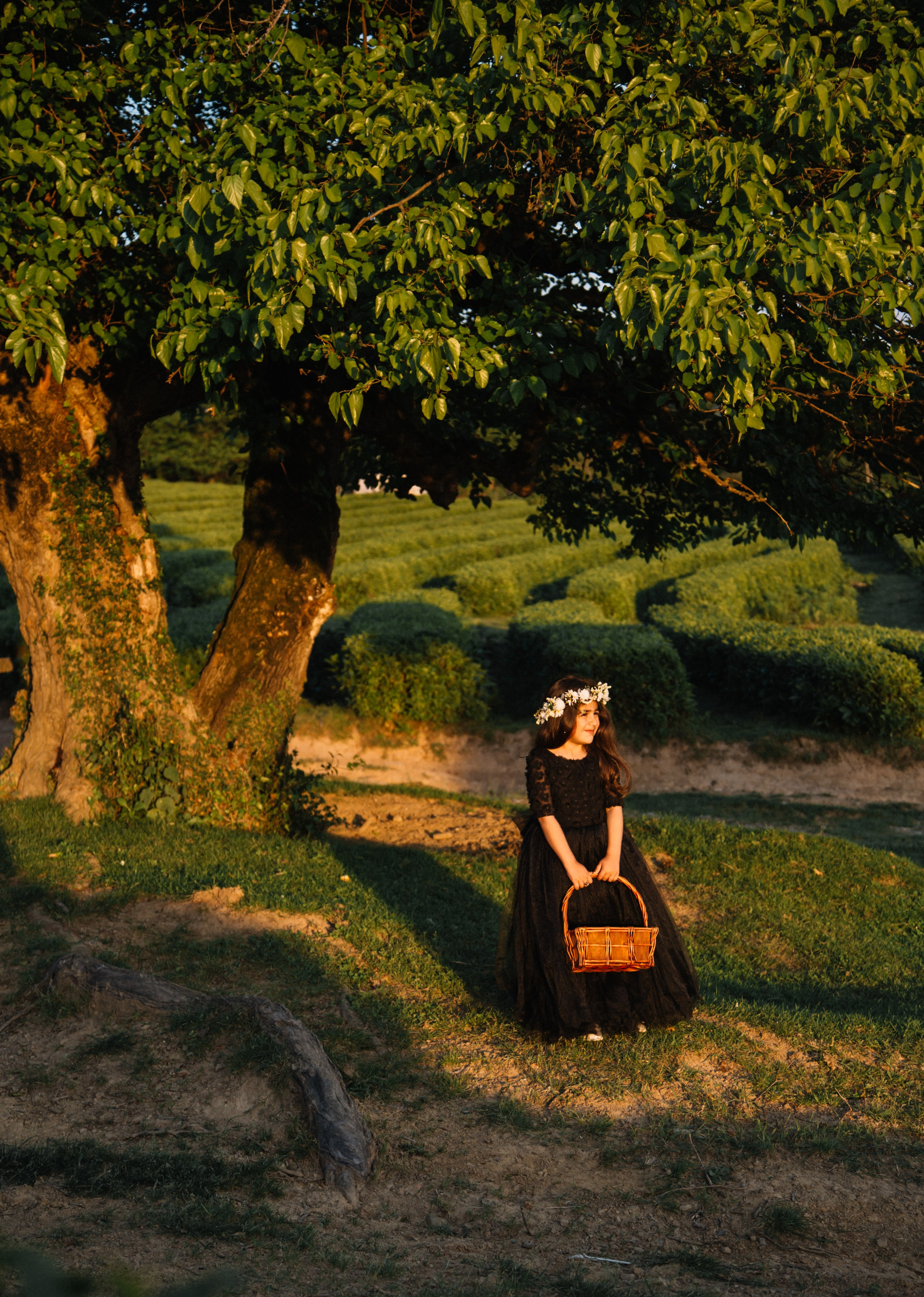 Твой первый юбилей. Семейный фотограф в Сочи, Лоо, Дагомысе, Вардане Кучумова Олеся