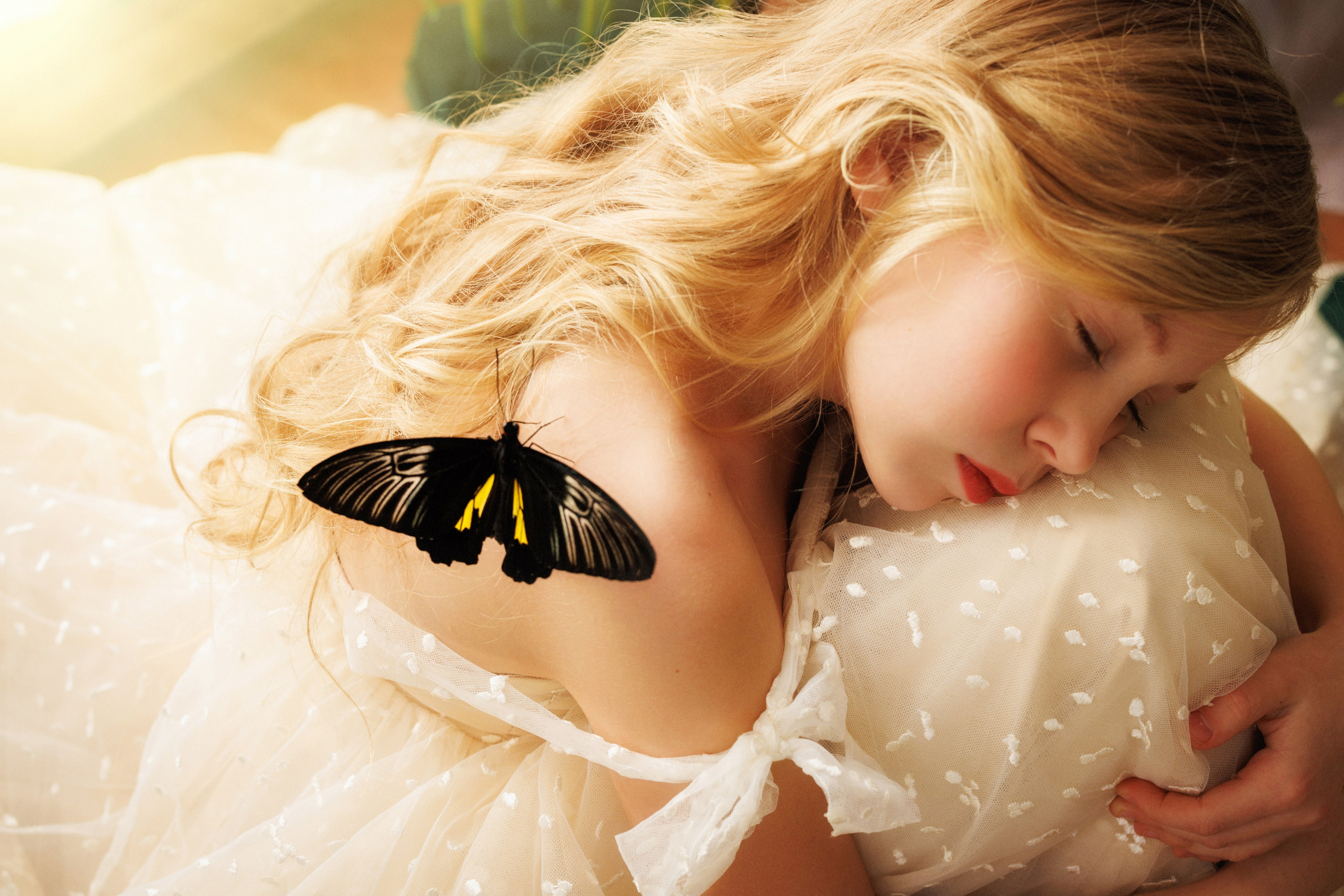 Фотосессия с живыми тропическими бабочками. Семейный и детский фотограф в Краснодаре Анна Трашкова