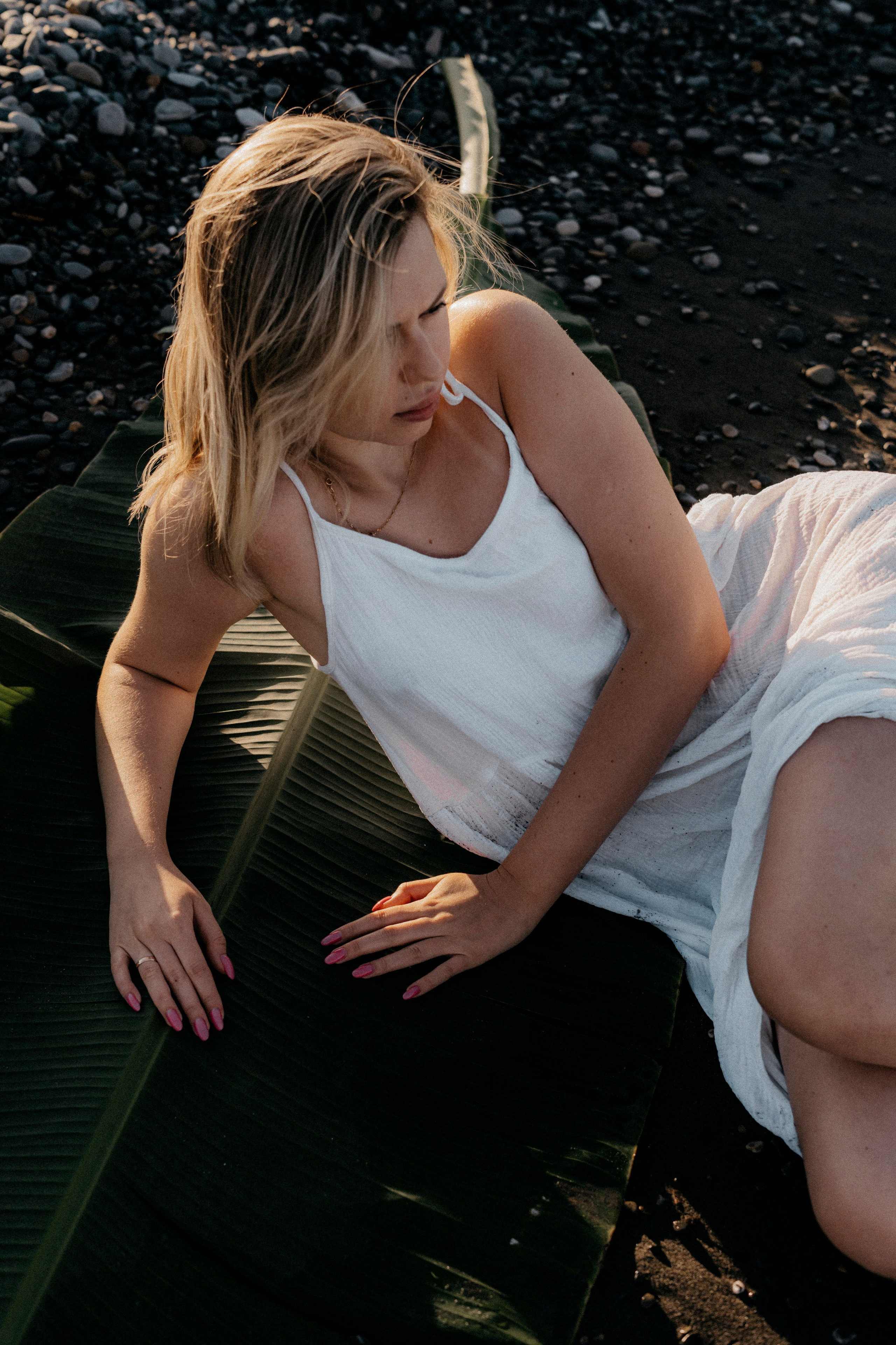 Пальмовый лист