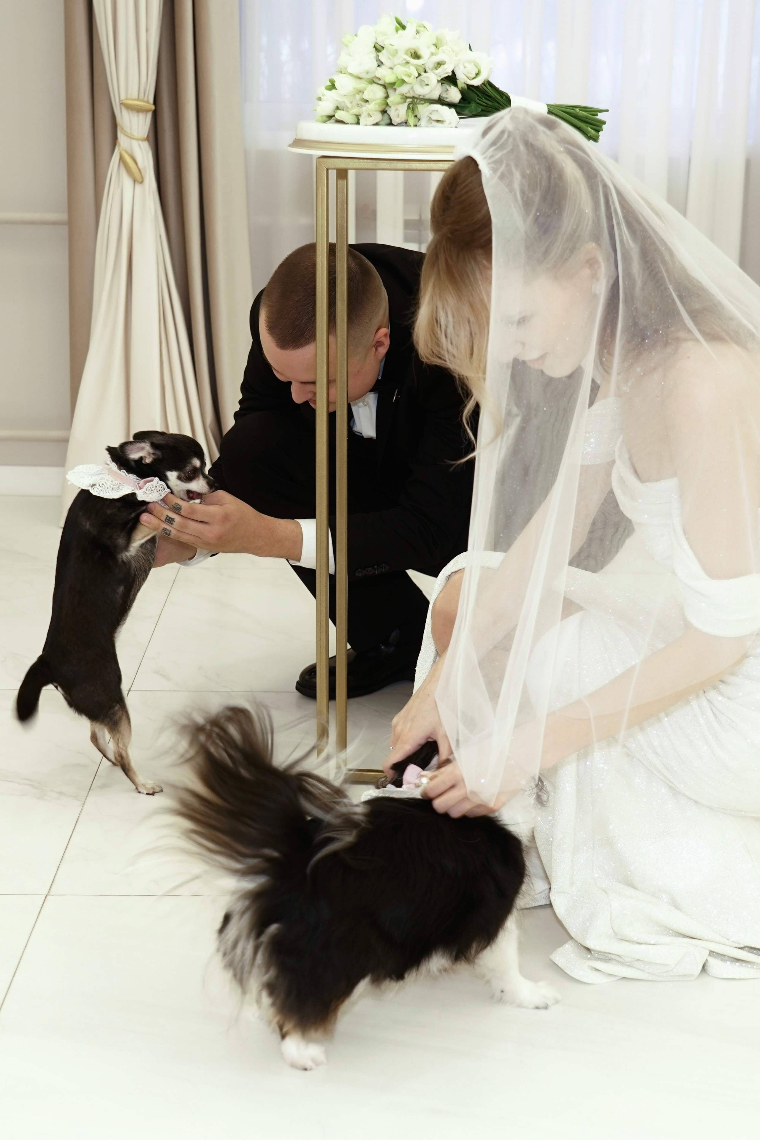 Регистрация в ЗАГСе + отель Бенедикт. Зеленоград. Анна, фотограф Москва, Зеленоград