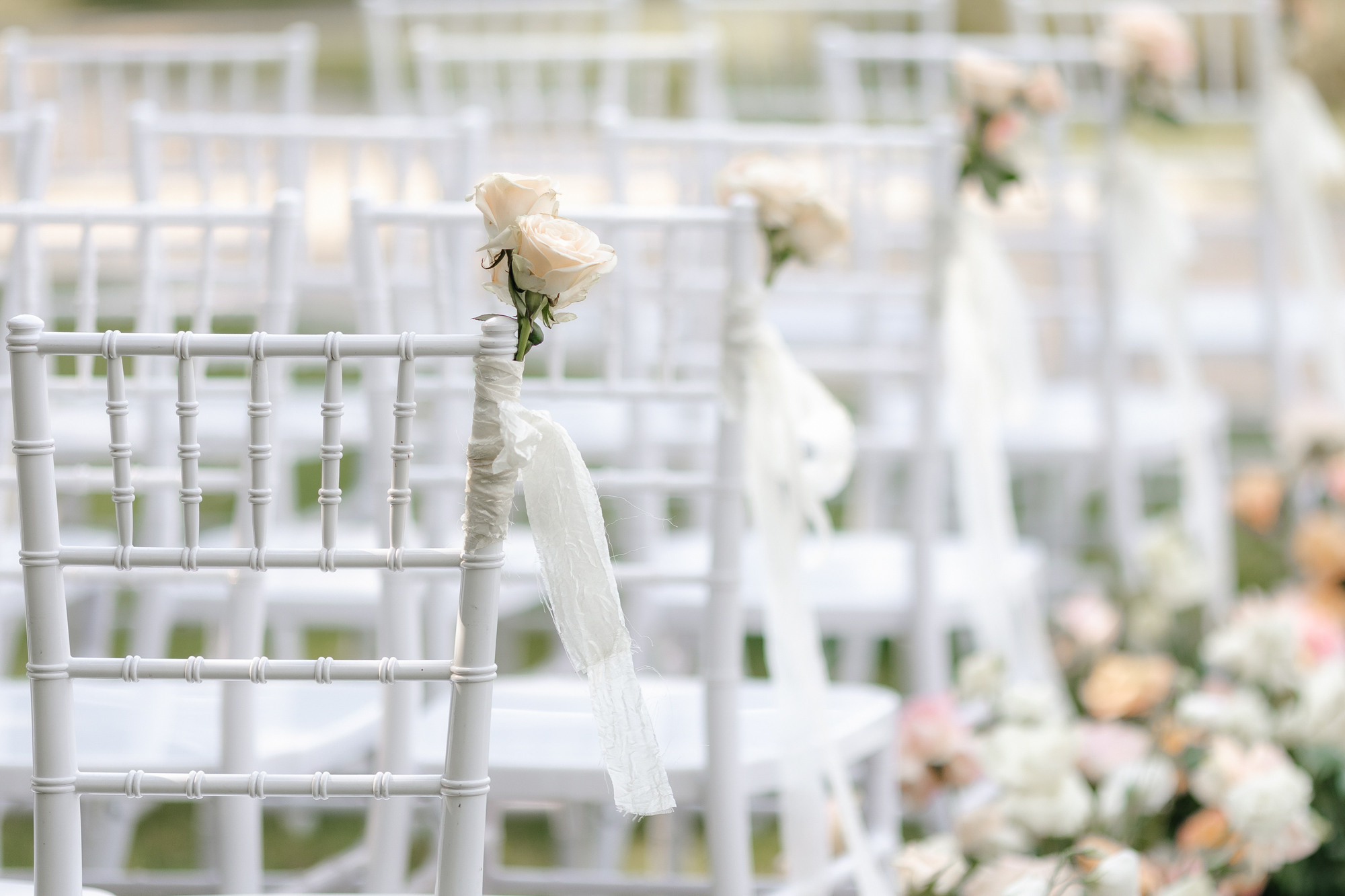 Дмитрий и Мария. Организация и координация свадебных и семейных торжеств