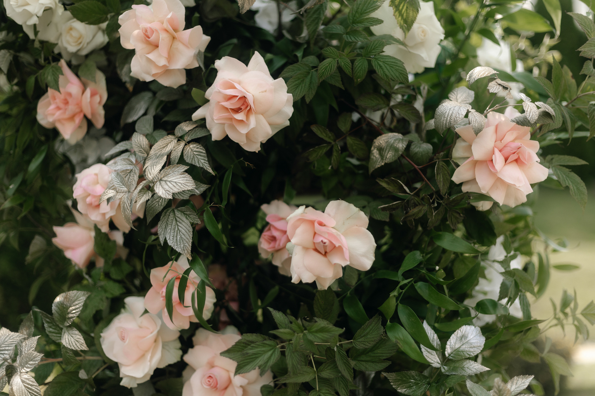 Дмитрий и Мария. Организация и координация свадебных и семейных торжеств