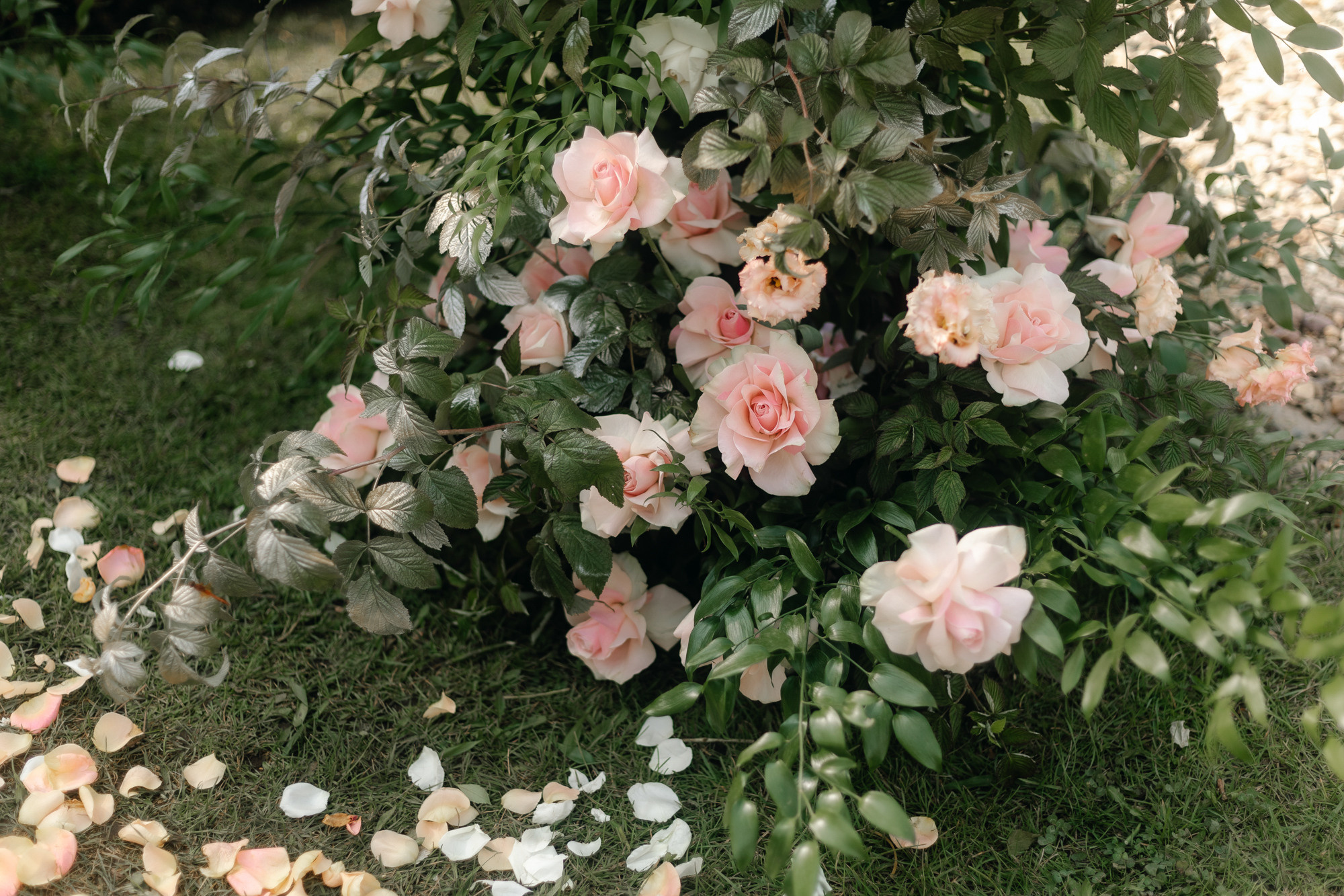 Дмитрий и Мария. Организация и координация свадебных и семейных торжеств