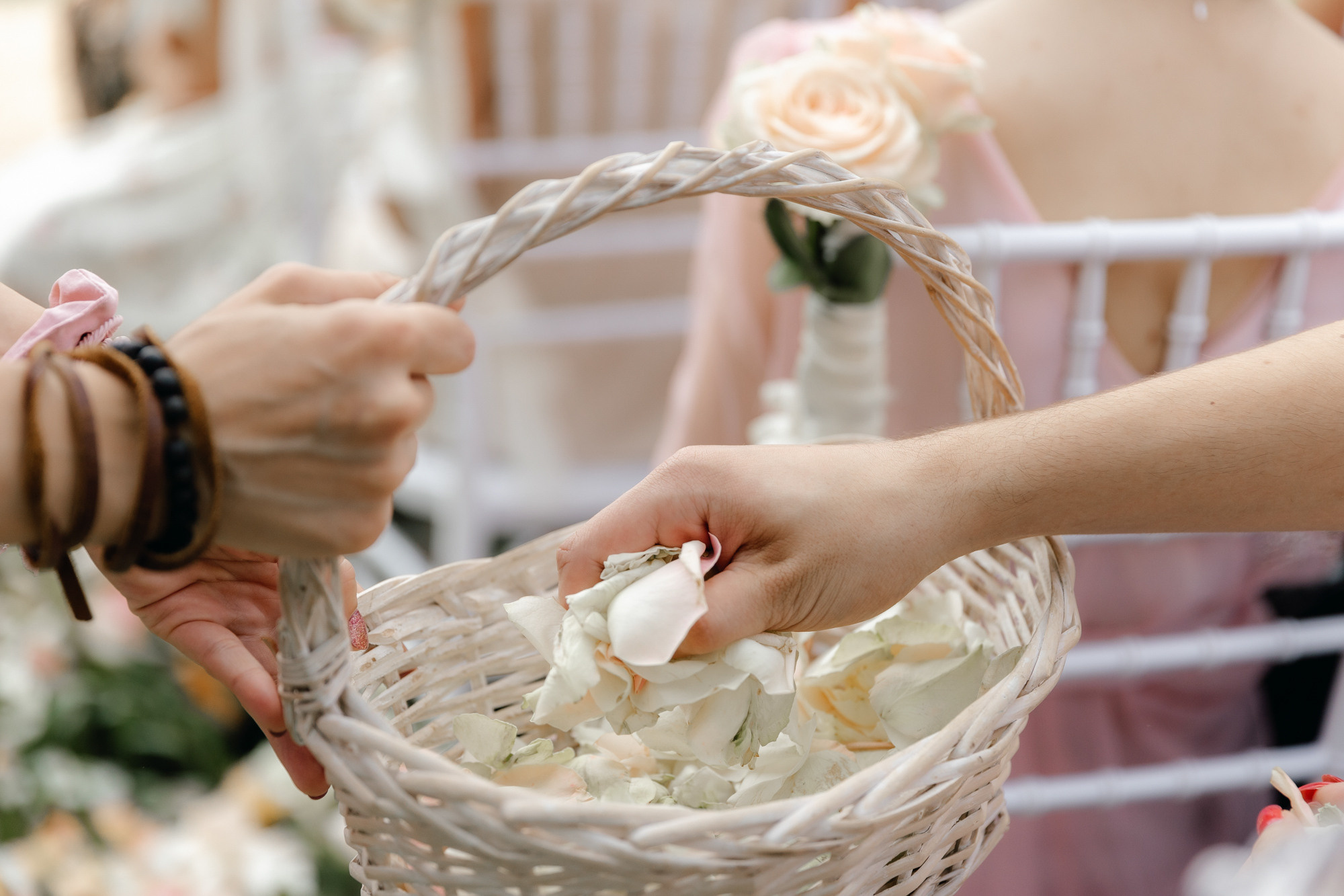 Дмитрий и Мария. Организация и координация свадебных и семейных торжеств