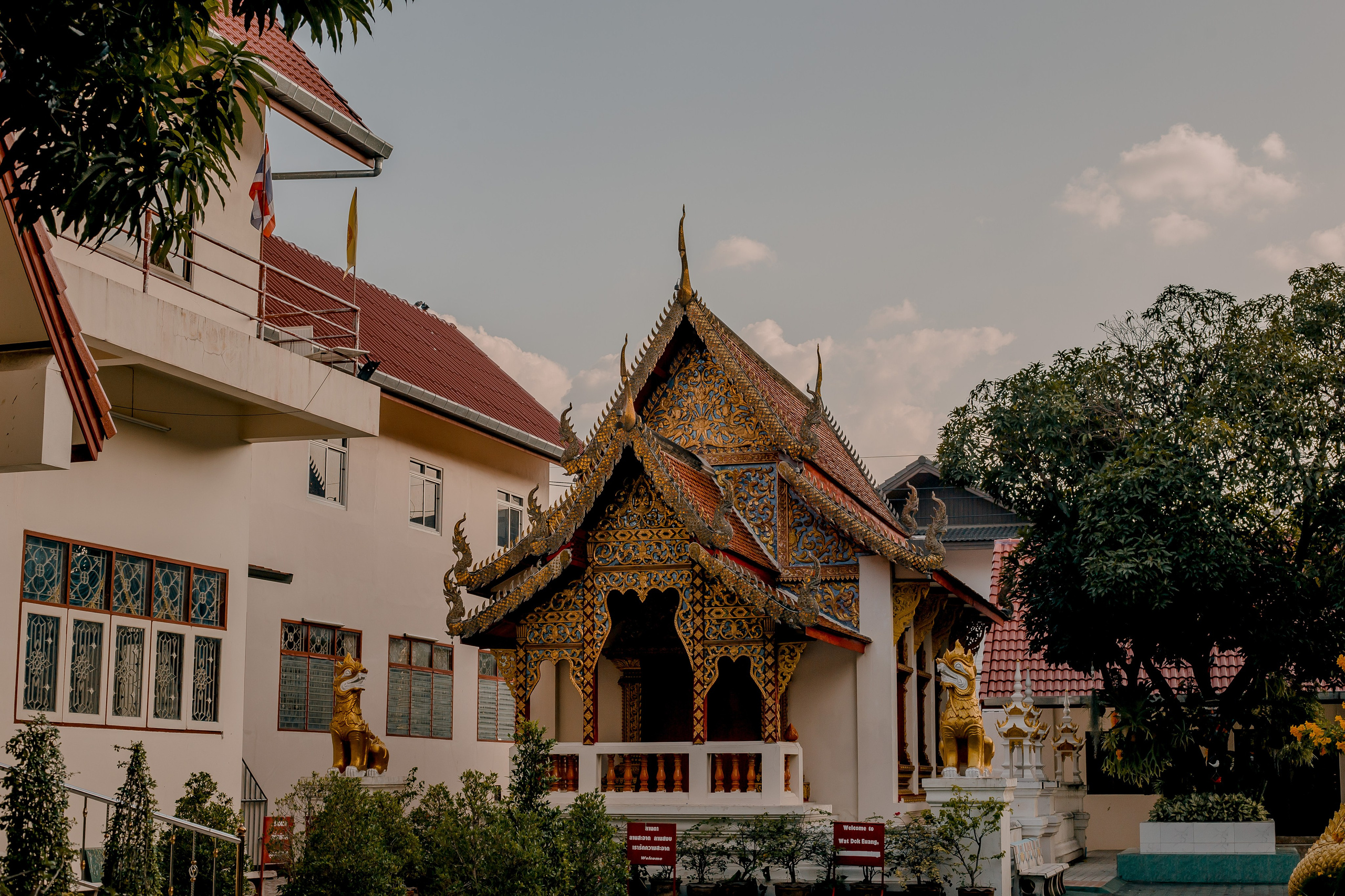 Thailand, Chiang Mai. Art Photographer