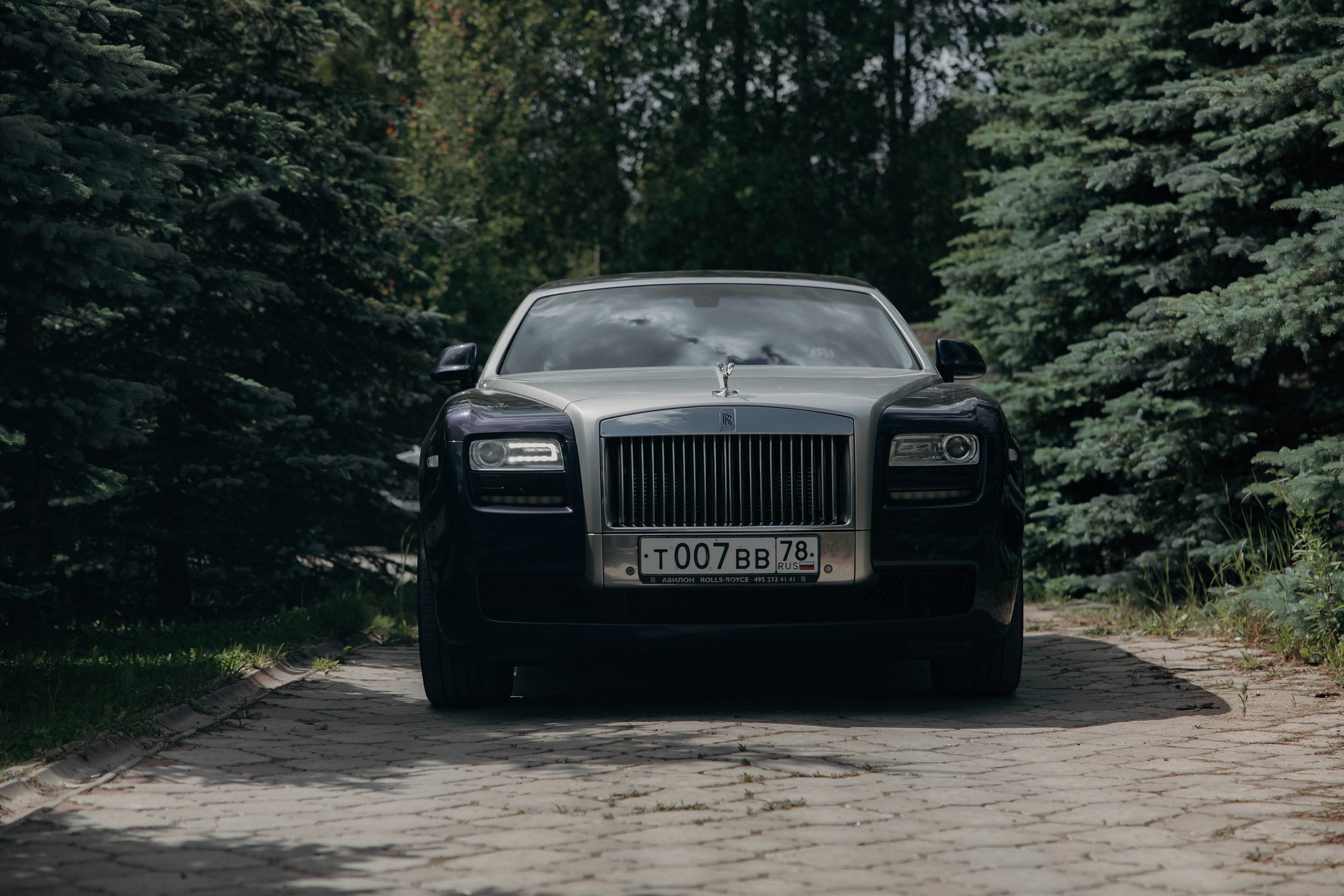 Санкт-Петербург Свадьба Элвина и Саиды. Лилия Вахитова фотограф