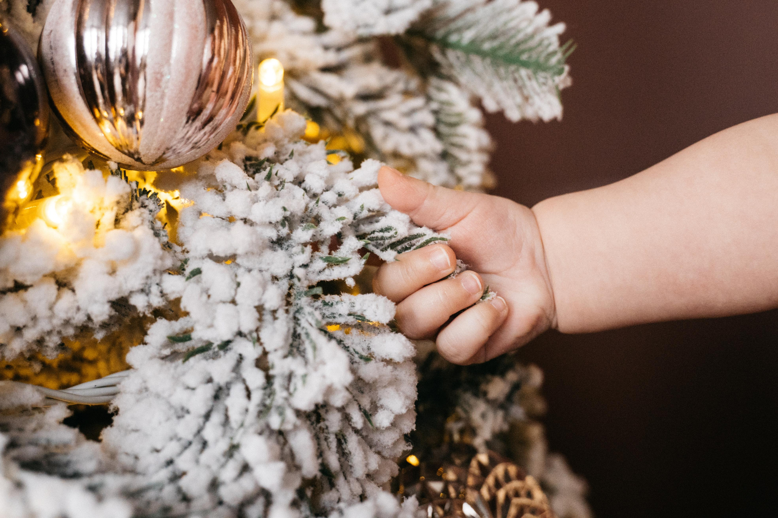 Семейная новогодняя в студии. Выпускные альбомы для детского сада и школы в Красноярске Мария Русяев