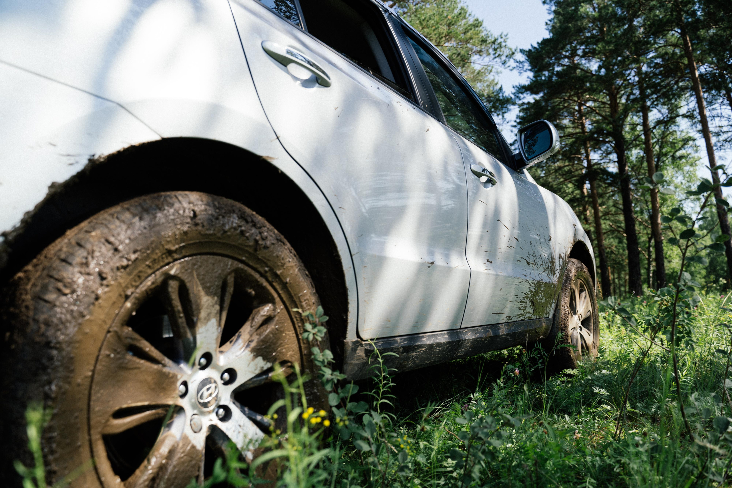 Семейный день. Выпускные альбомы для детского сада и школы в Красноярске Мария Русяев