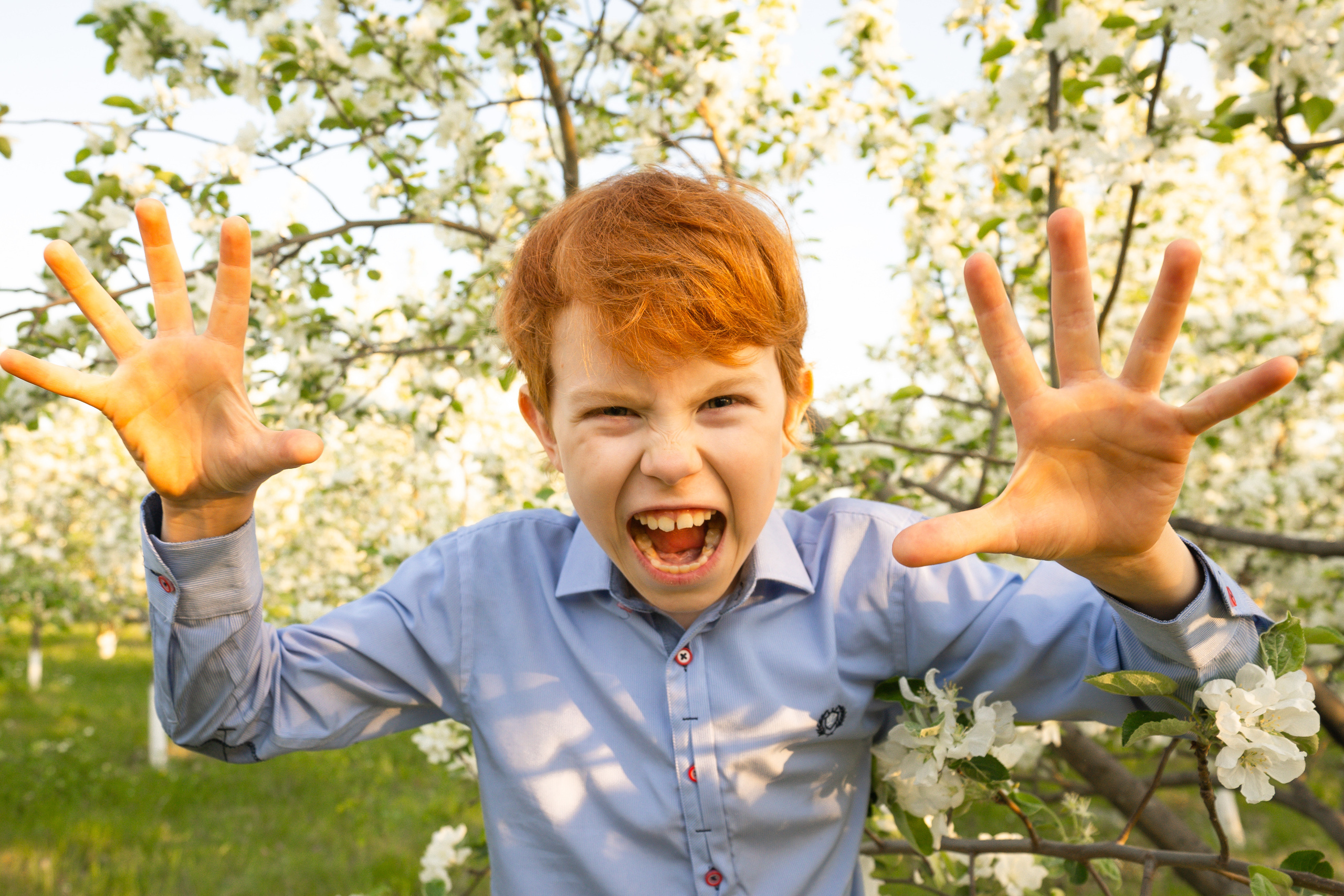 Семейная весенняя. Выпускные альбомы для детского сада и школы в Красноярске Мария Русяев