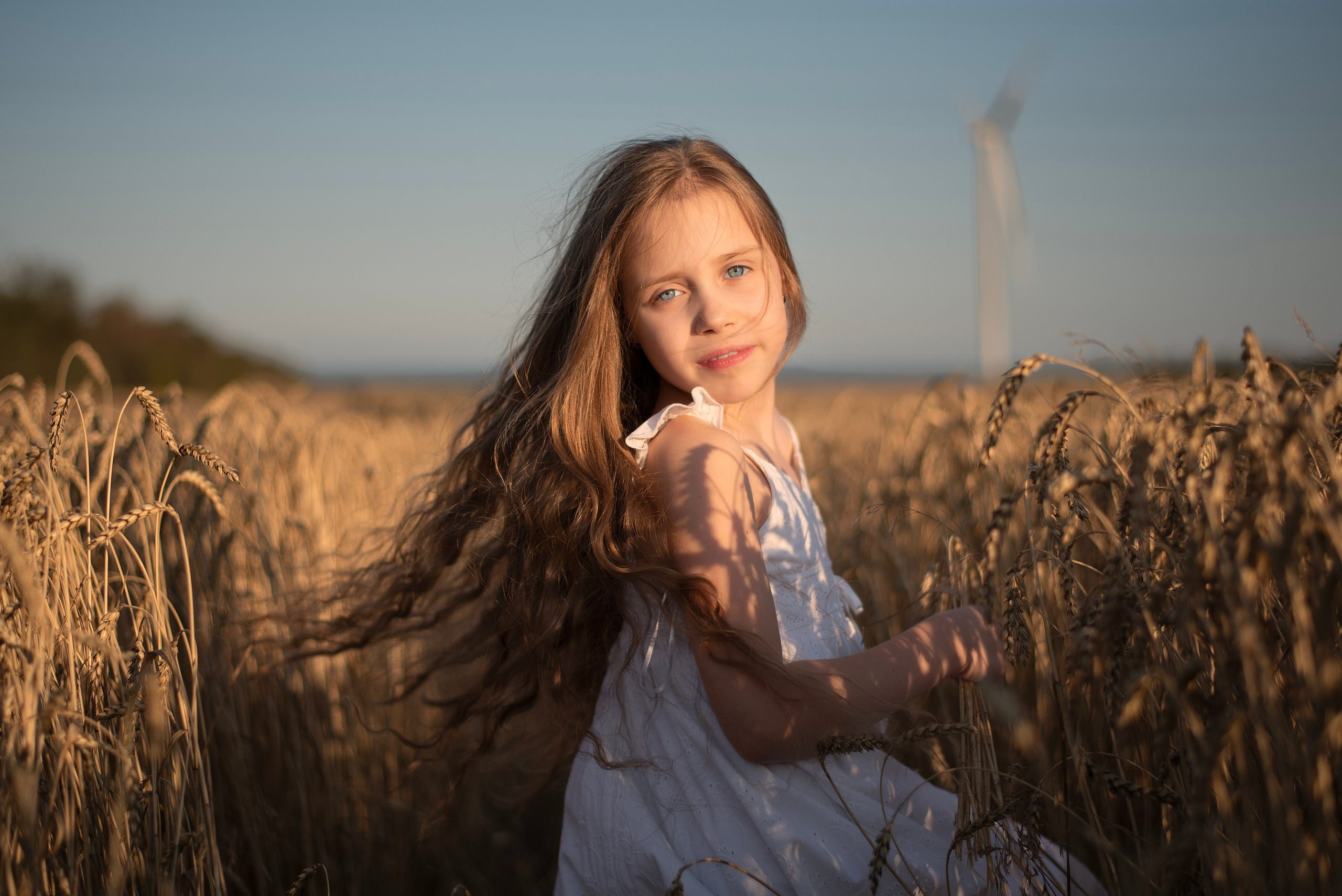 Пшеница. Главная