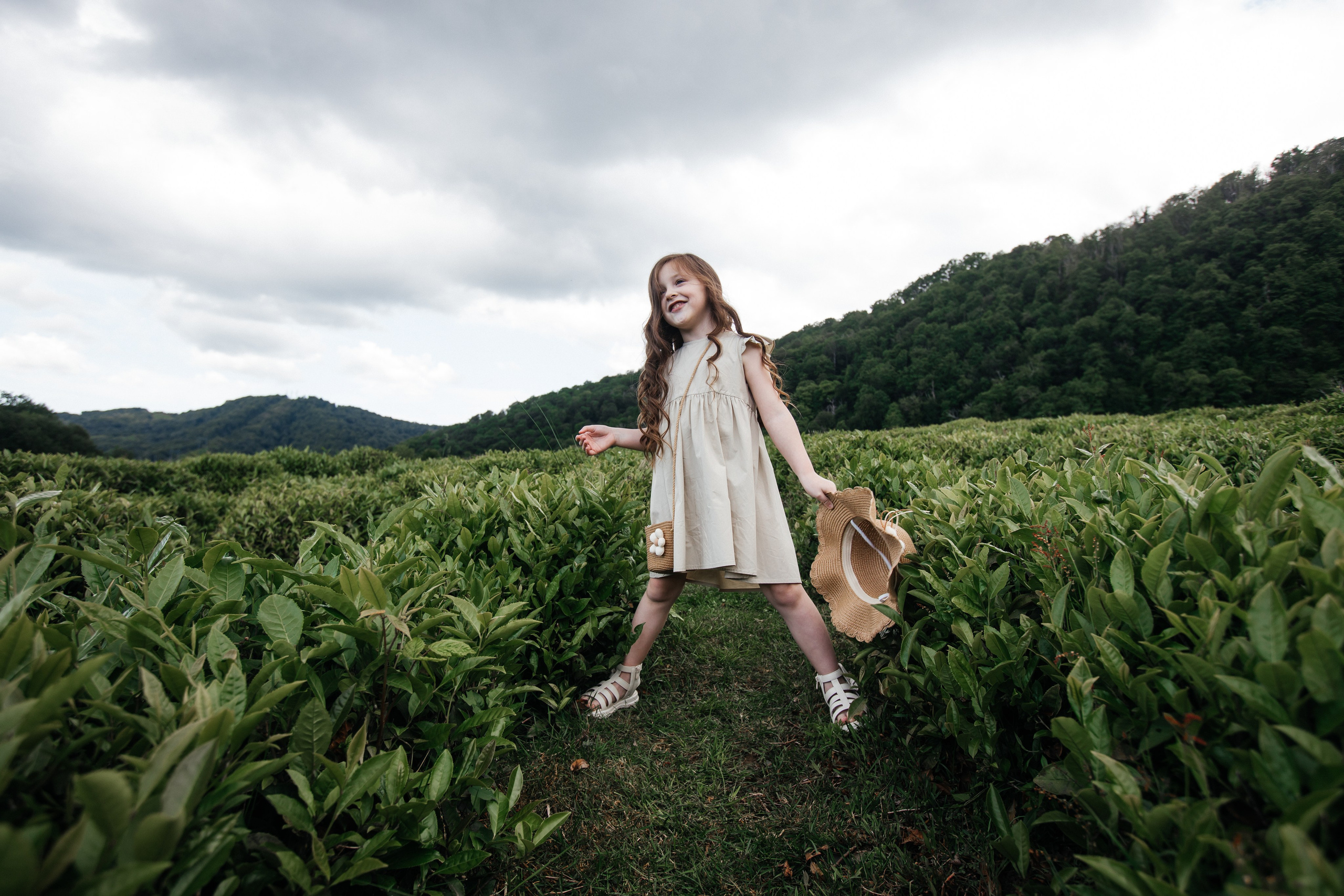 Tea plantation. Efimova Model Agency