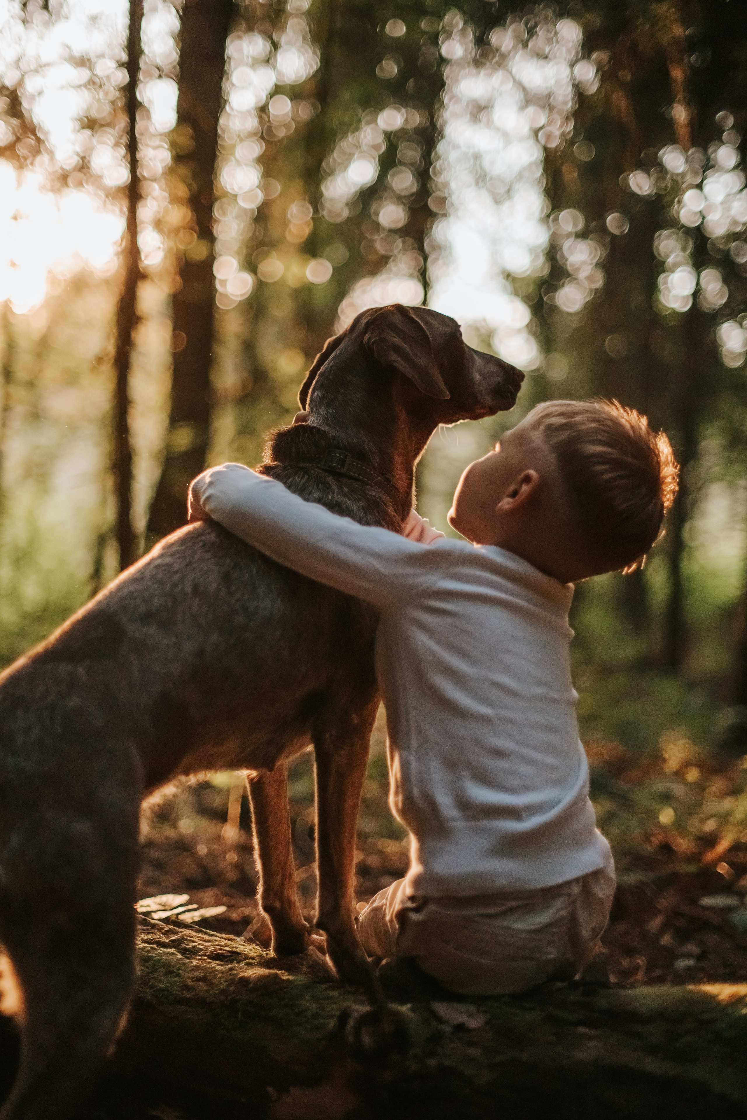 Витя и Кофи. Фотограф-анималист Валерия, Москва, Мытищи