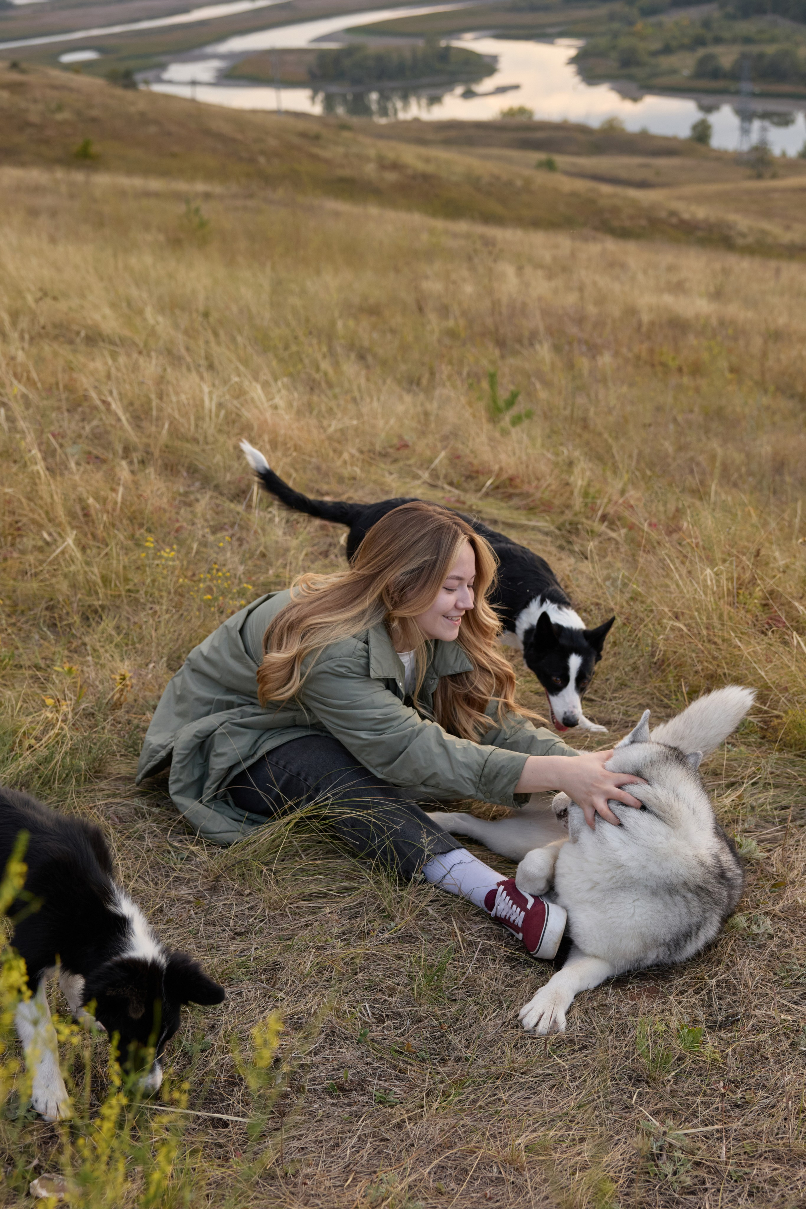 Аделя и ее хвостики. Фотограф анималист в Казани Алина Сулейманова. Фотограф животных