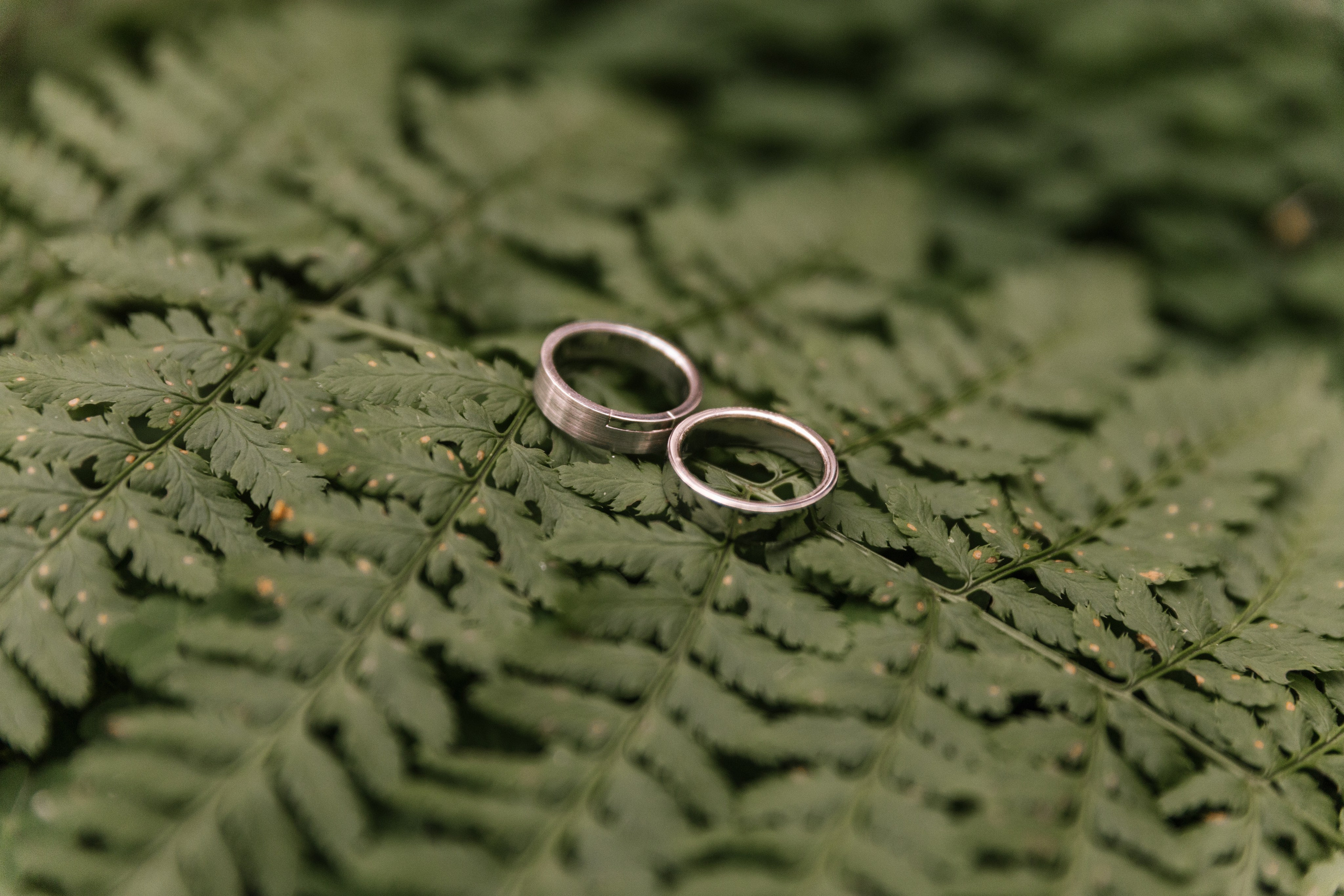 Love story Руслан и Лейла. Свадебный фотограф в Пятигорске и КМВ Софья Аджикеримова