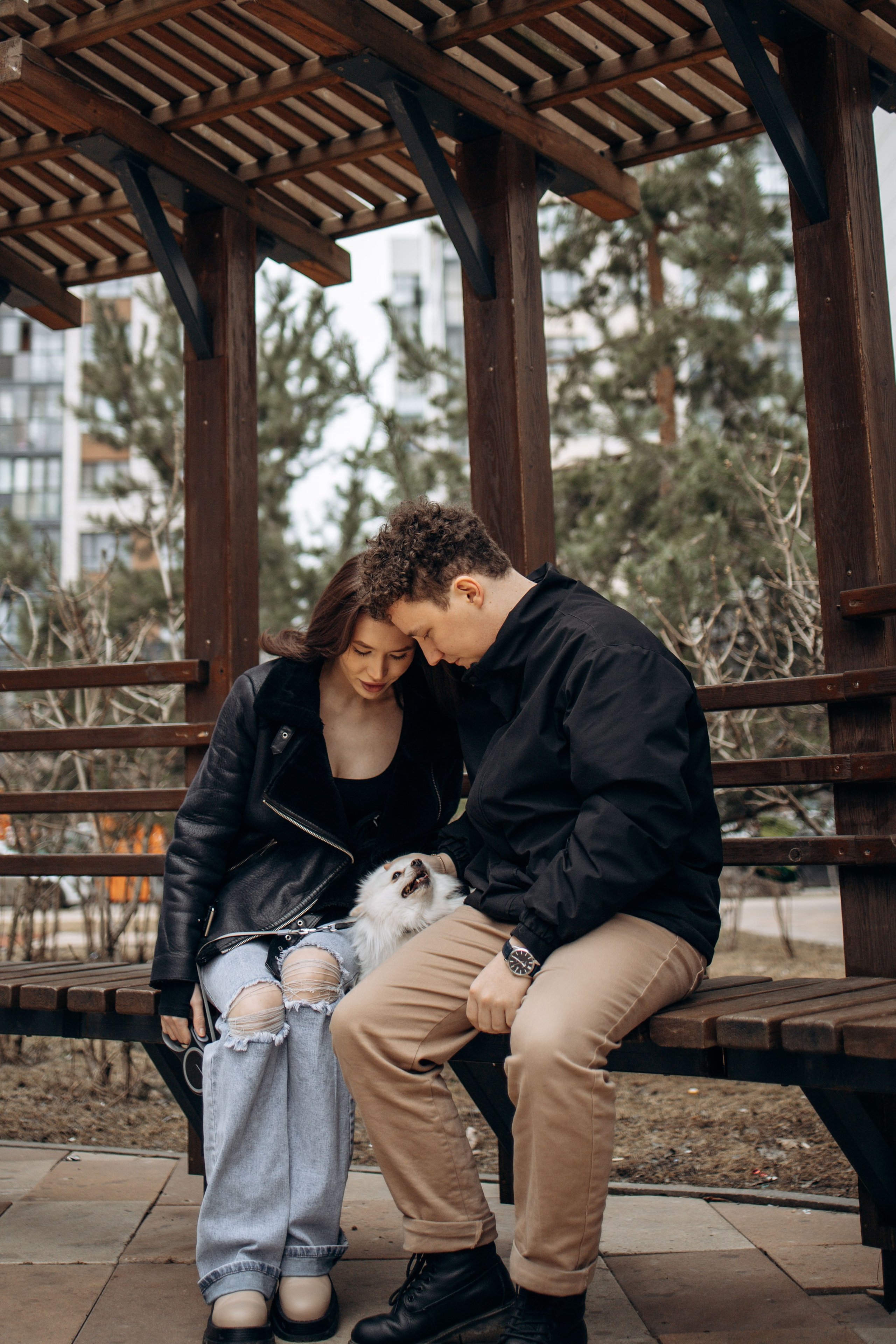 Шпиц Мася и ее семья