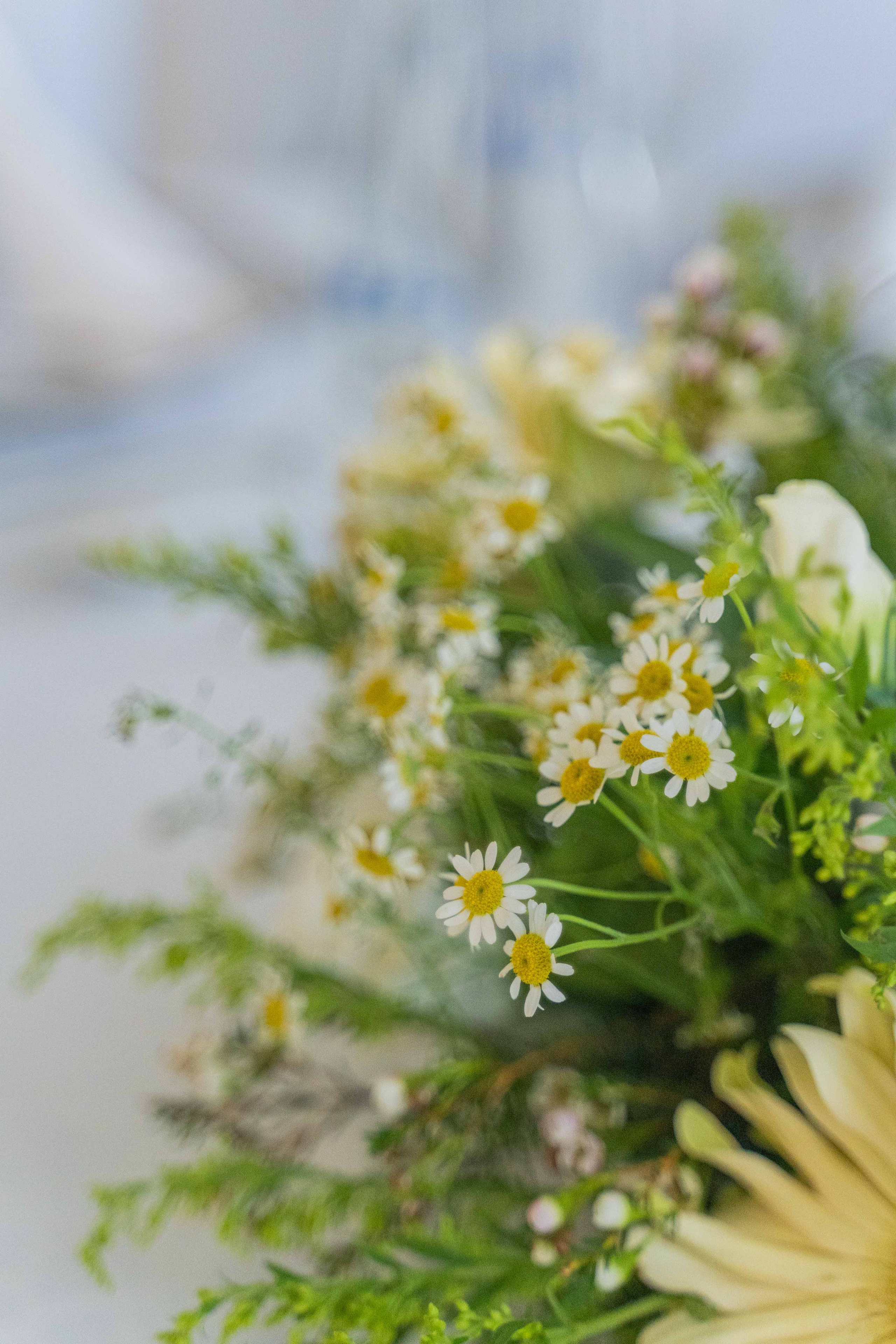 Sarah home engagement