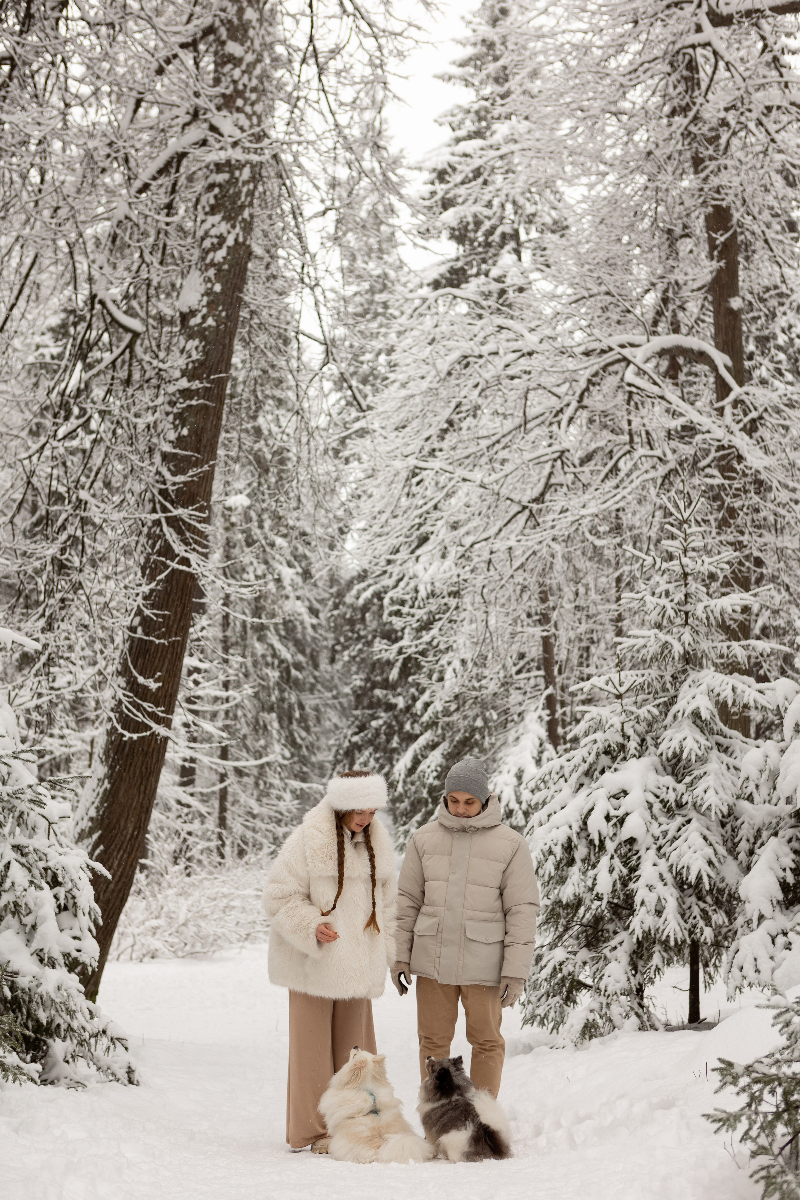 Новогодняя фотосессия с собачками в шуваловском парке. Свадебный фотограф в СПБ | Санкт-Петербурге Анастасия Рахимгулова